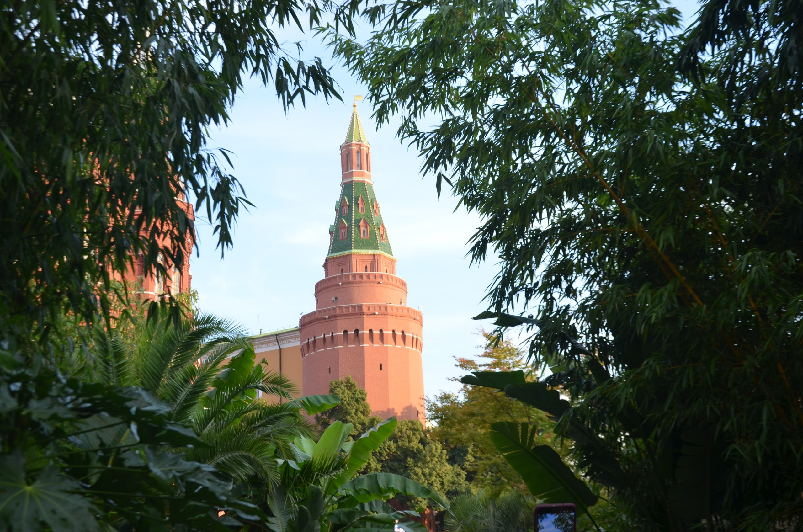 Пленэры для детей. Изостудия «Мы рисуем!» ♥ Южное Бутово, Москва