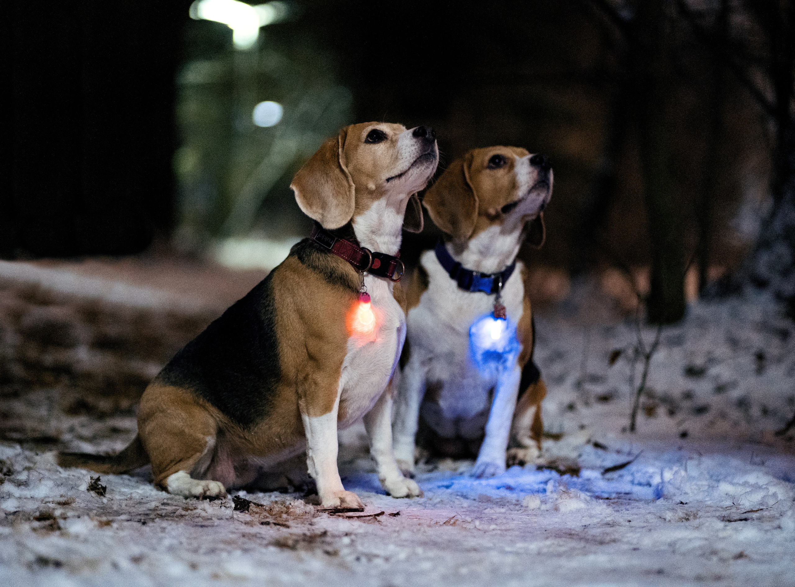 Вечерняя прогулка с Марией. Фотограф в Москве Ткаченко Владимир