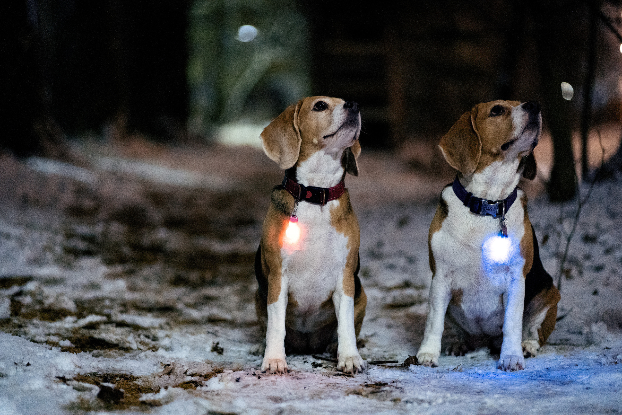 Вечерняя прогулка с Марией. Фотограф в Москве Ткаченко Владимир