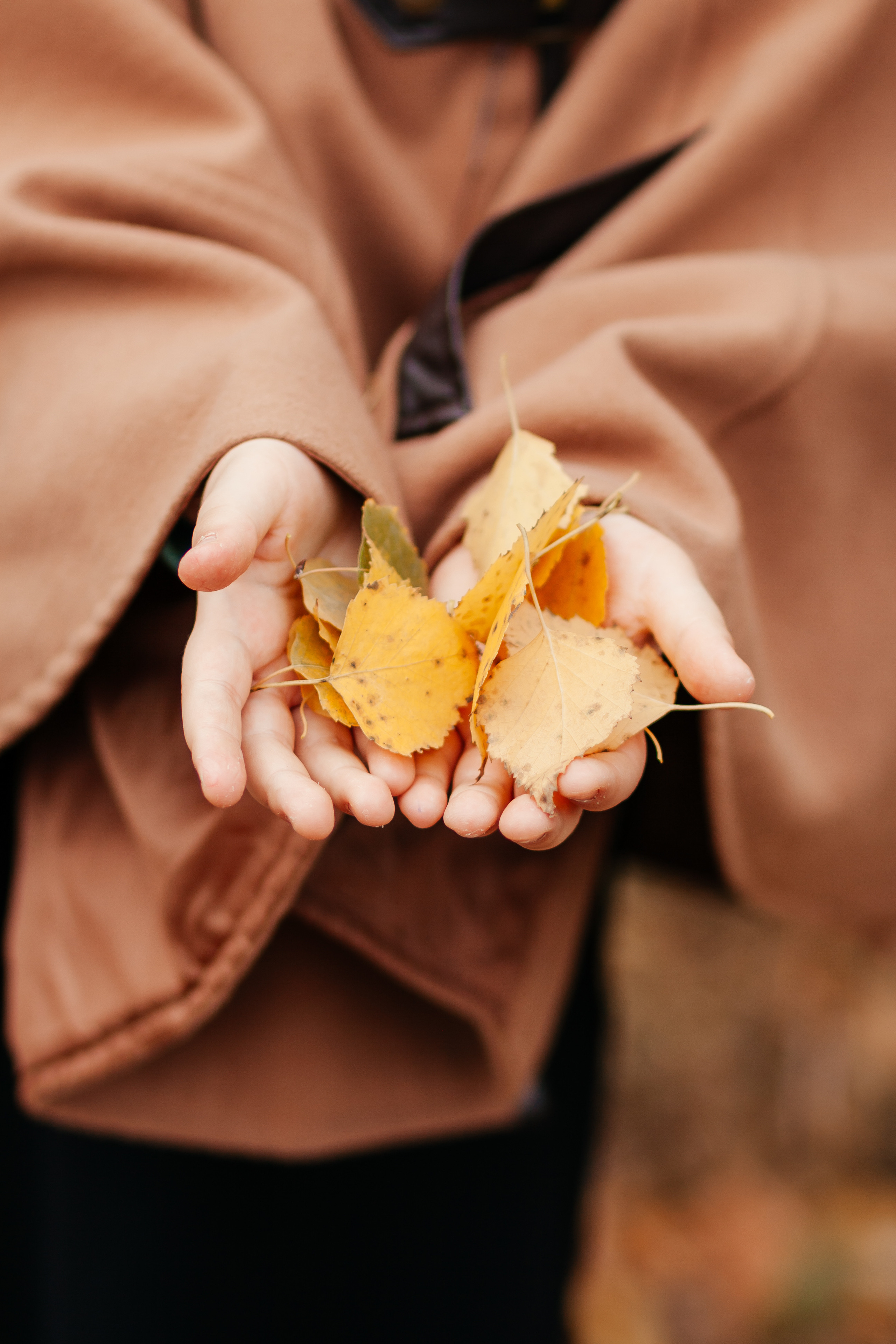 Осеннее настроение. Семейный фотограф в Минске Приболовец Светлана