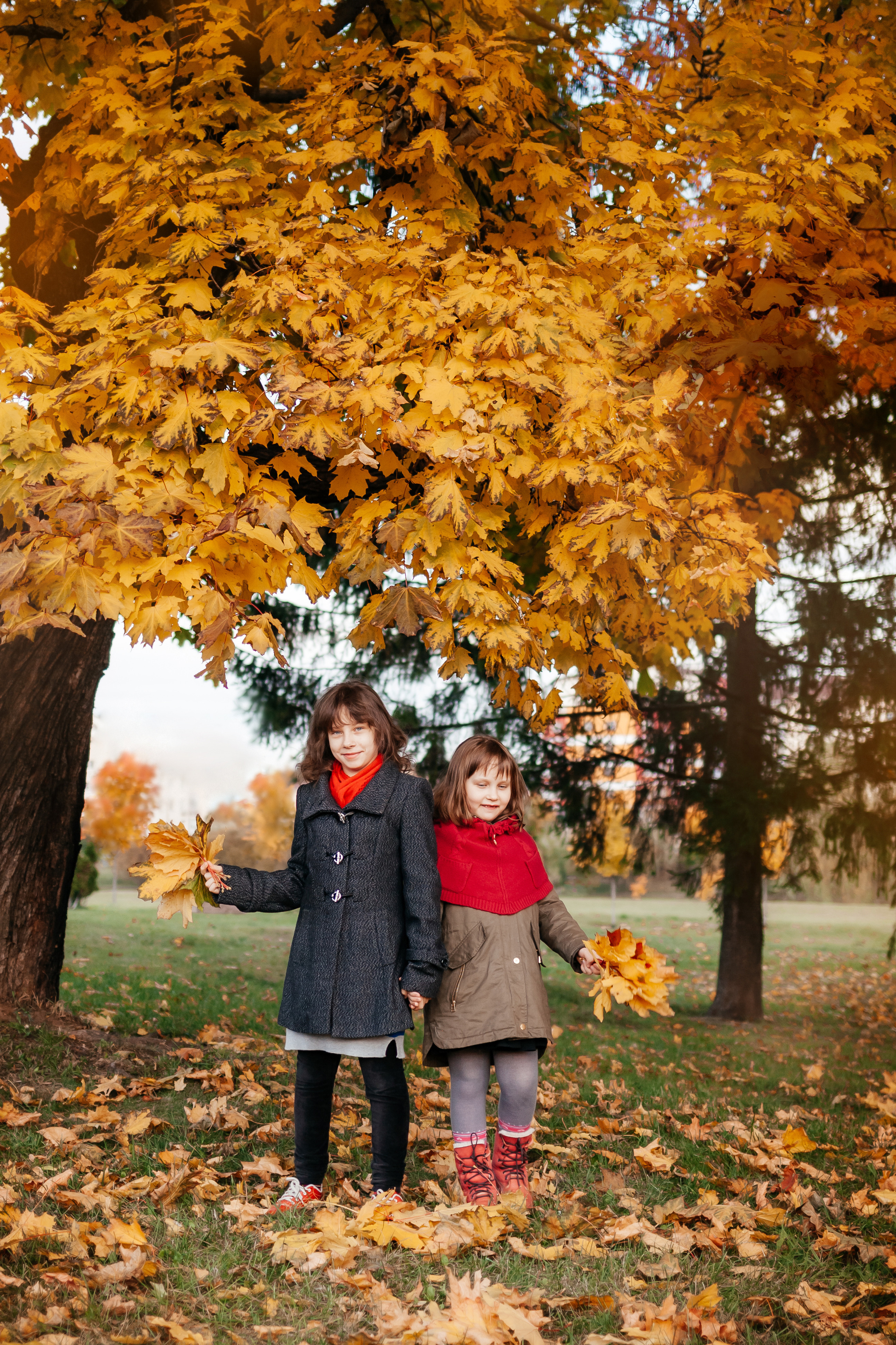 Осеннее настроение. Семейный фотограф в Минске Приболовец Светлана