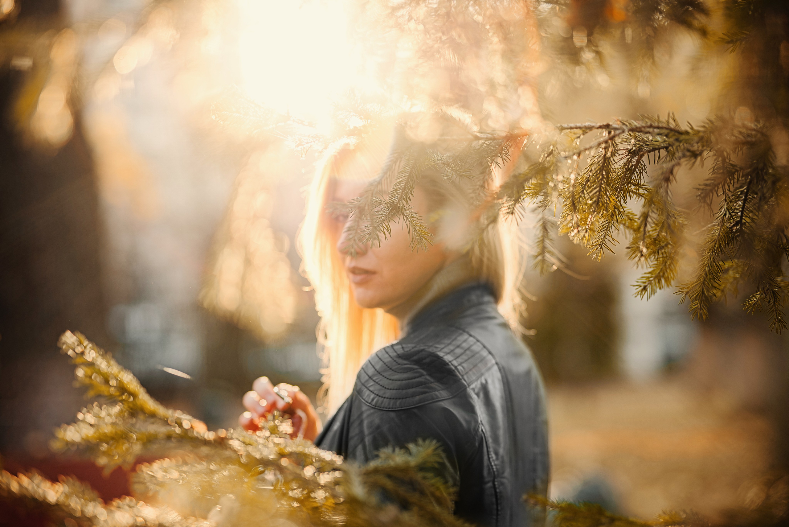 Осень цвета горчицы. Фотограф Денис Кривопусков