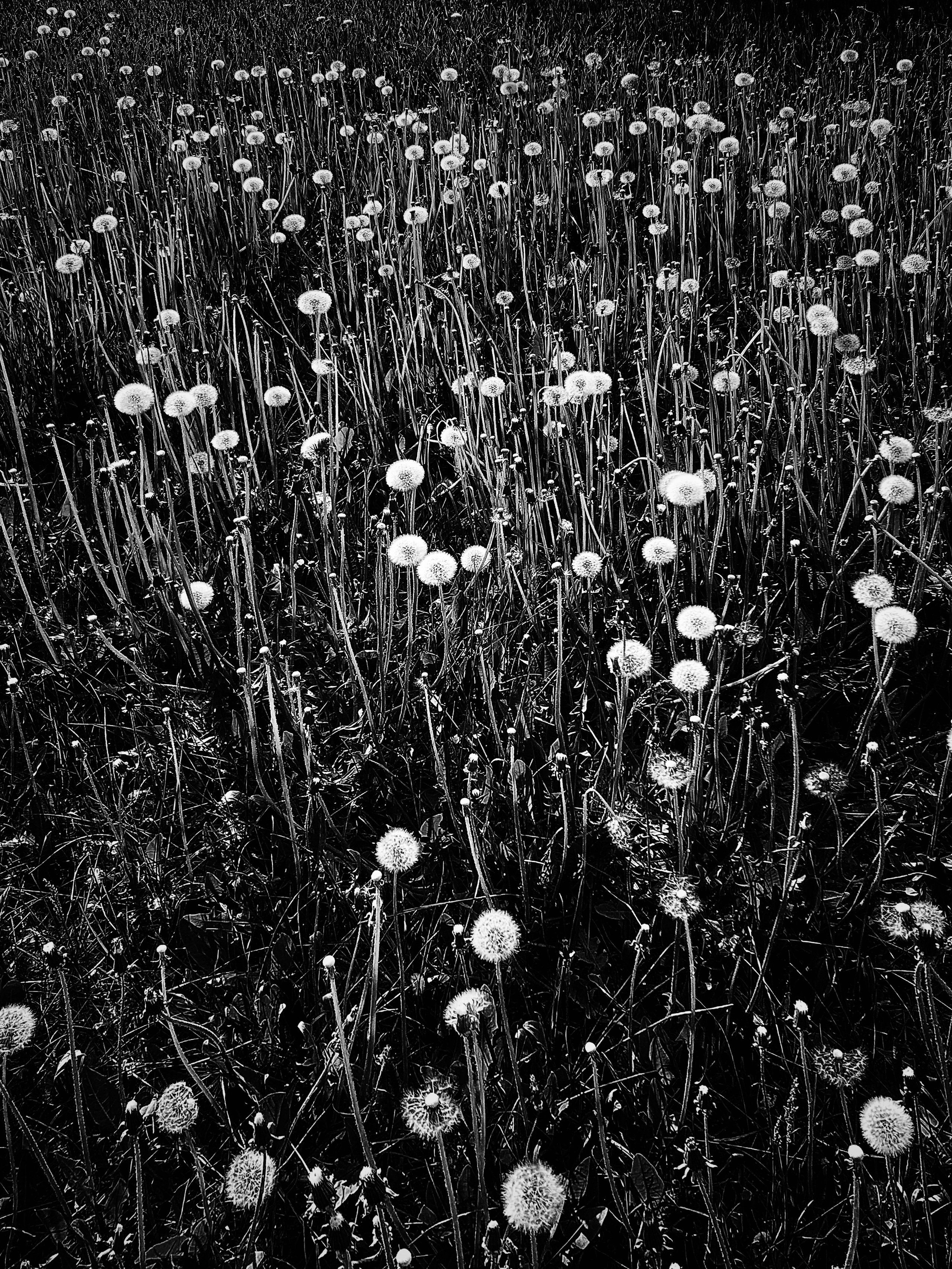 2022. Тащилин Сергей. Фотографии. Жизнь. Хобби