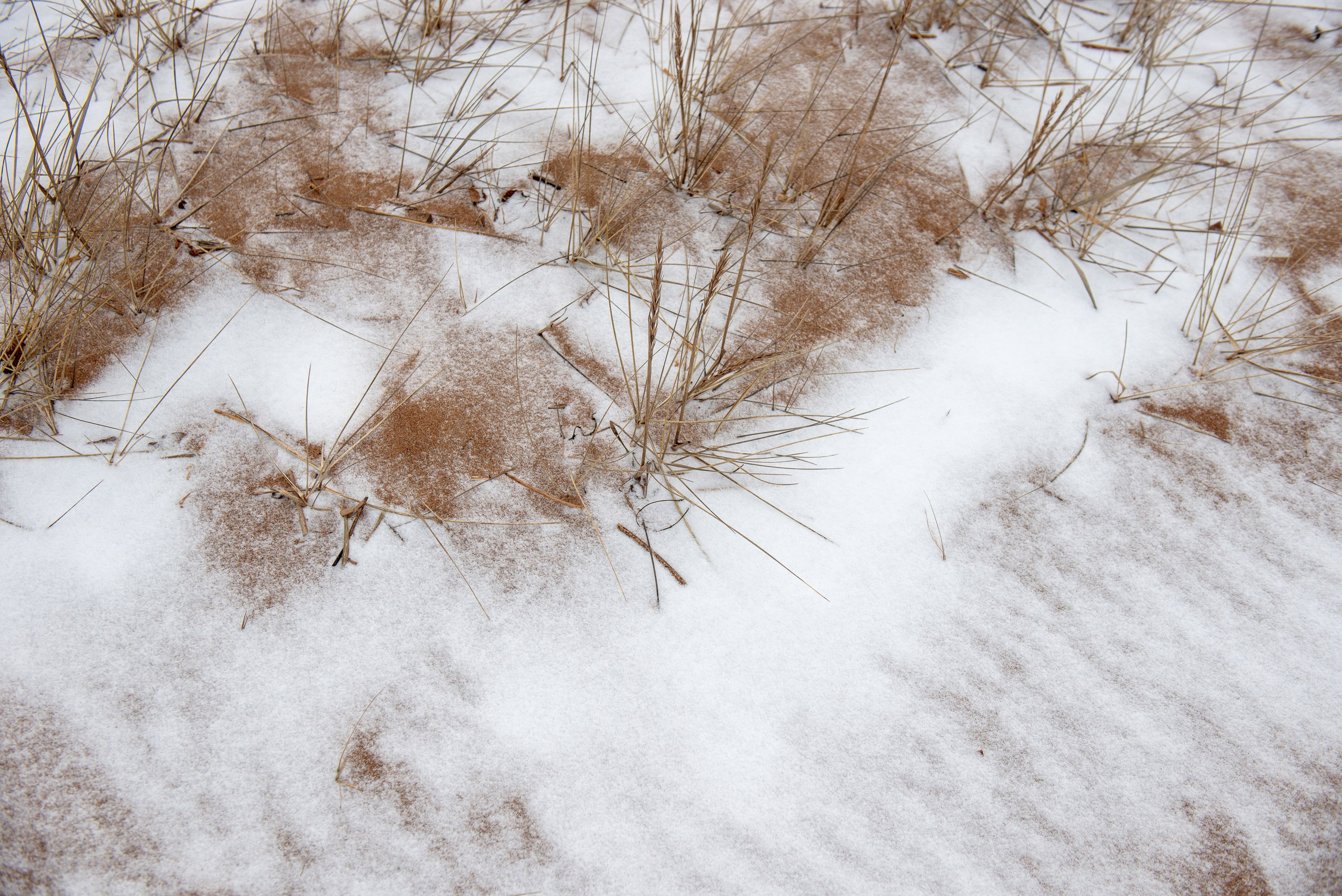 Landscape, nature, plants, details of the world around us. Personal website of photographer Dmitry Raikin