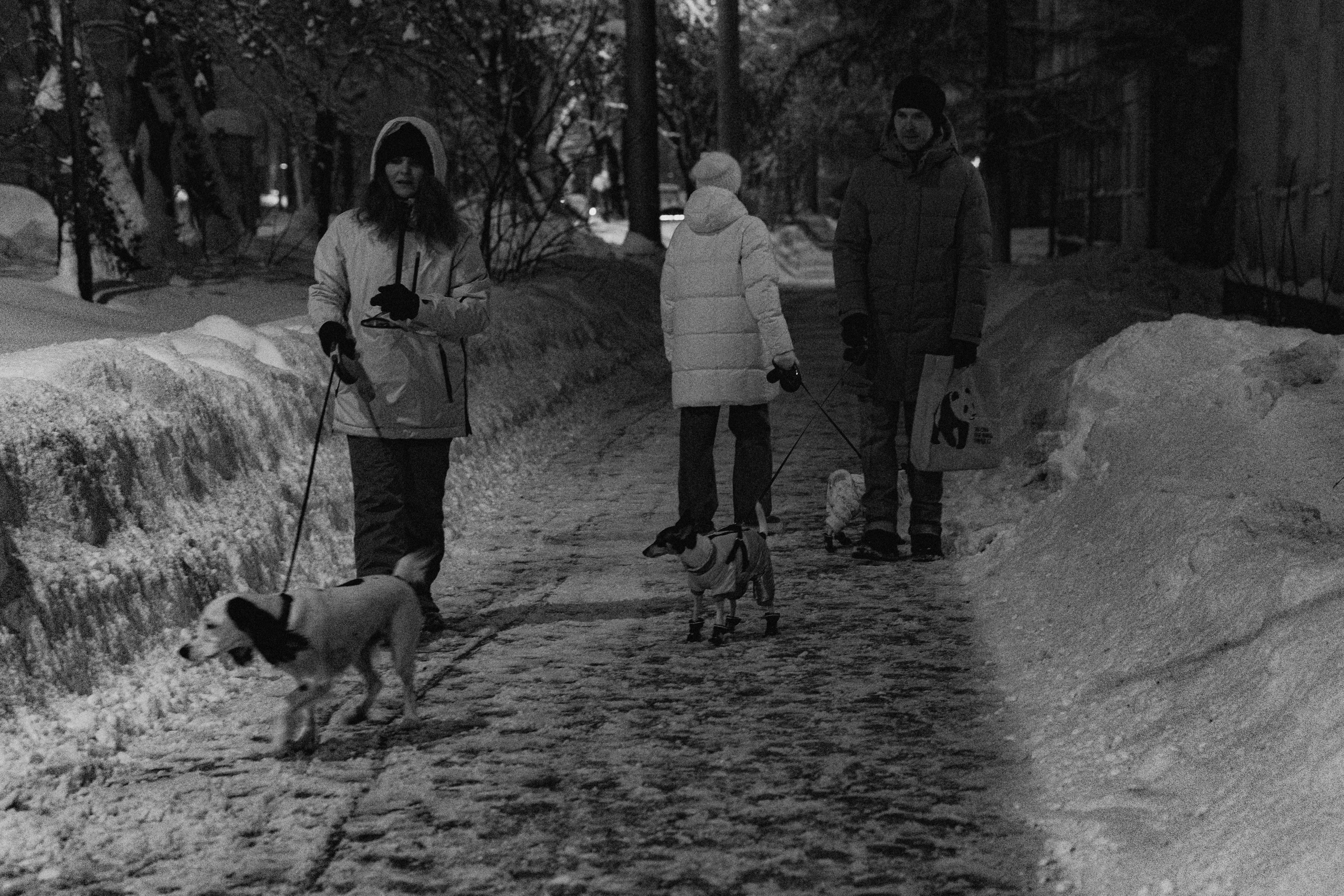 Город зимой. Фотограф Эльмира Лин