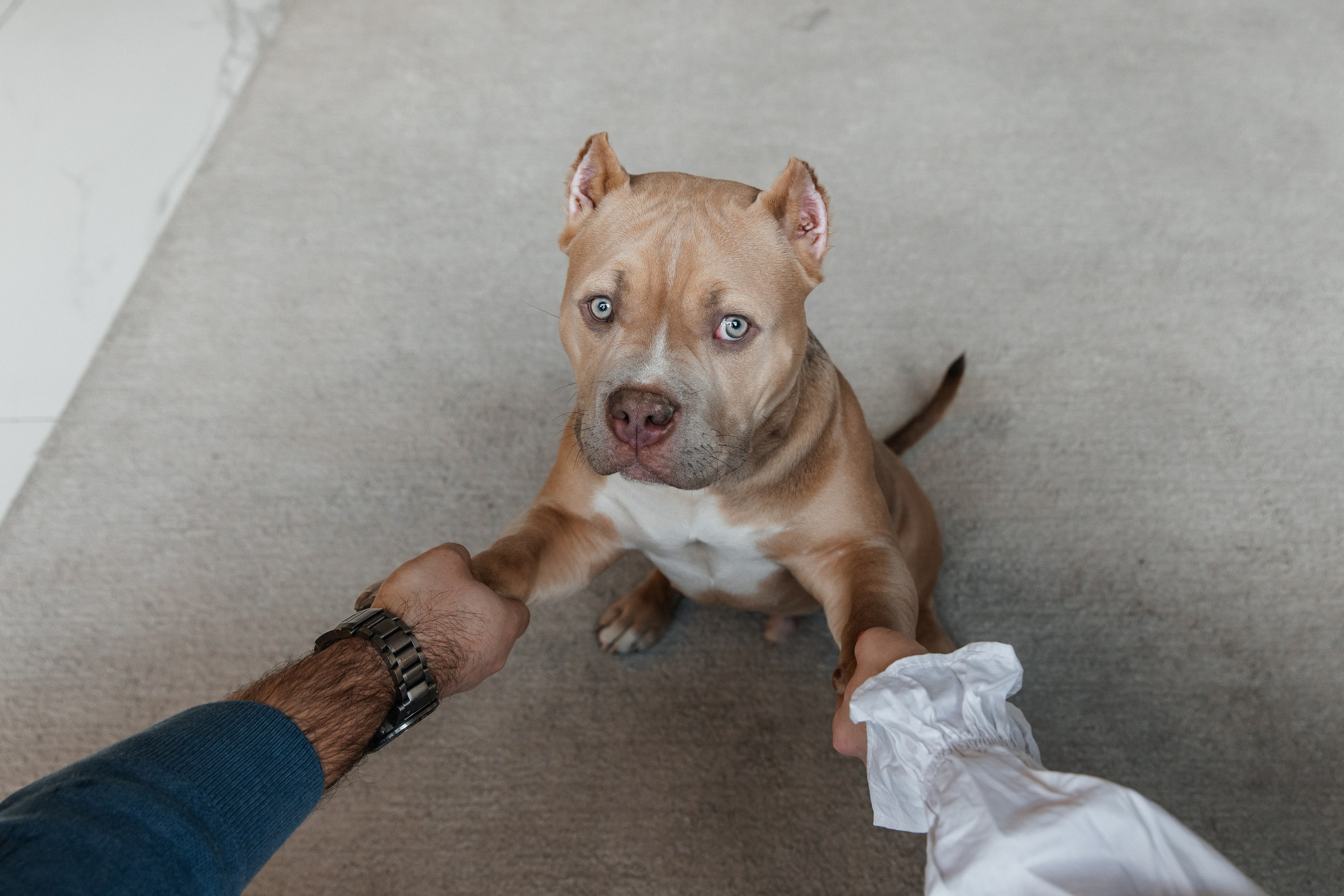 Злата|Александр|ЗЕВС. Фотограф Москва Шептаев Артём