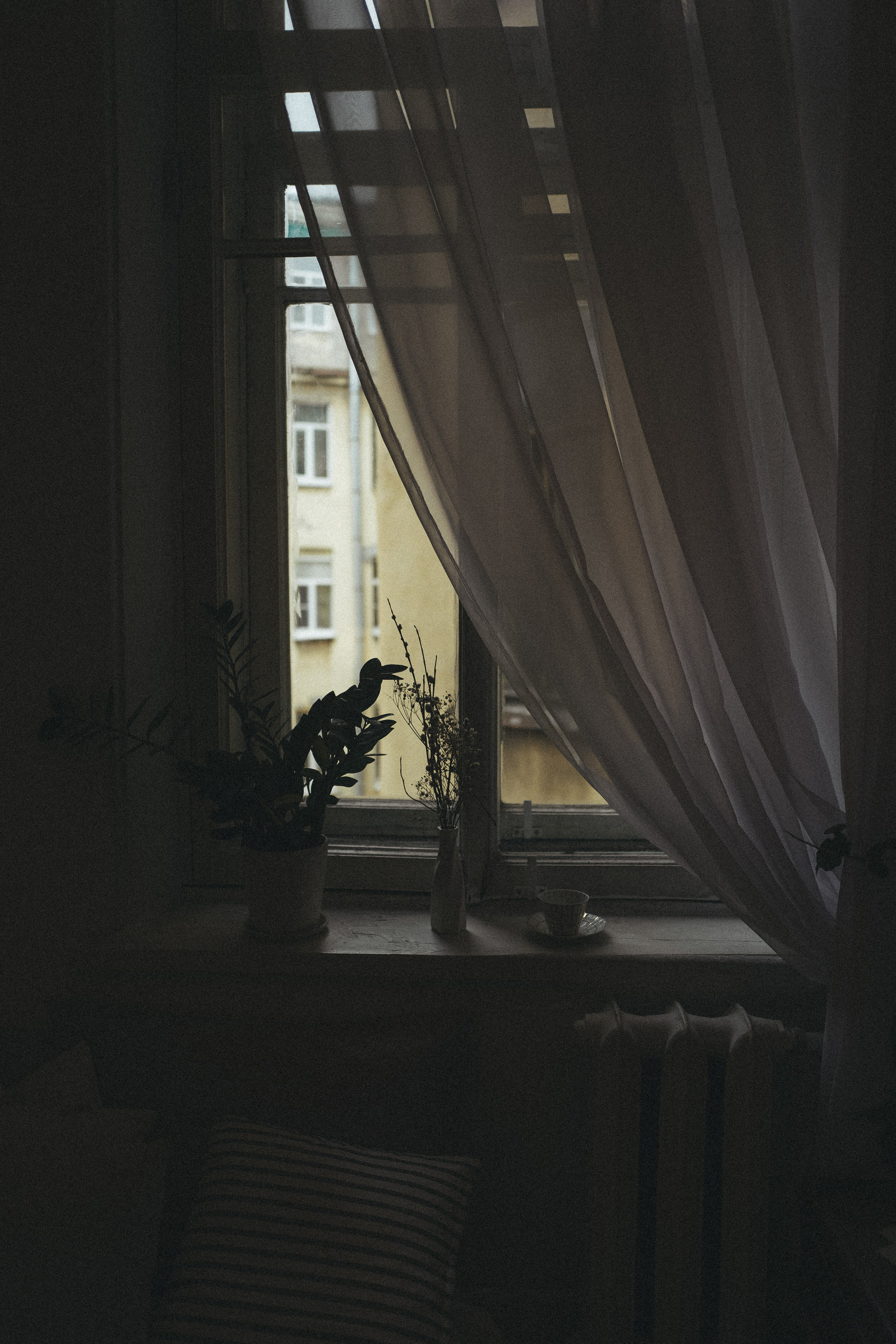 Saint Petersburg/2023. <3