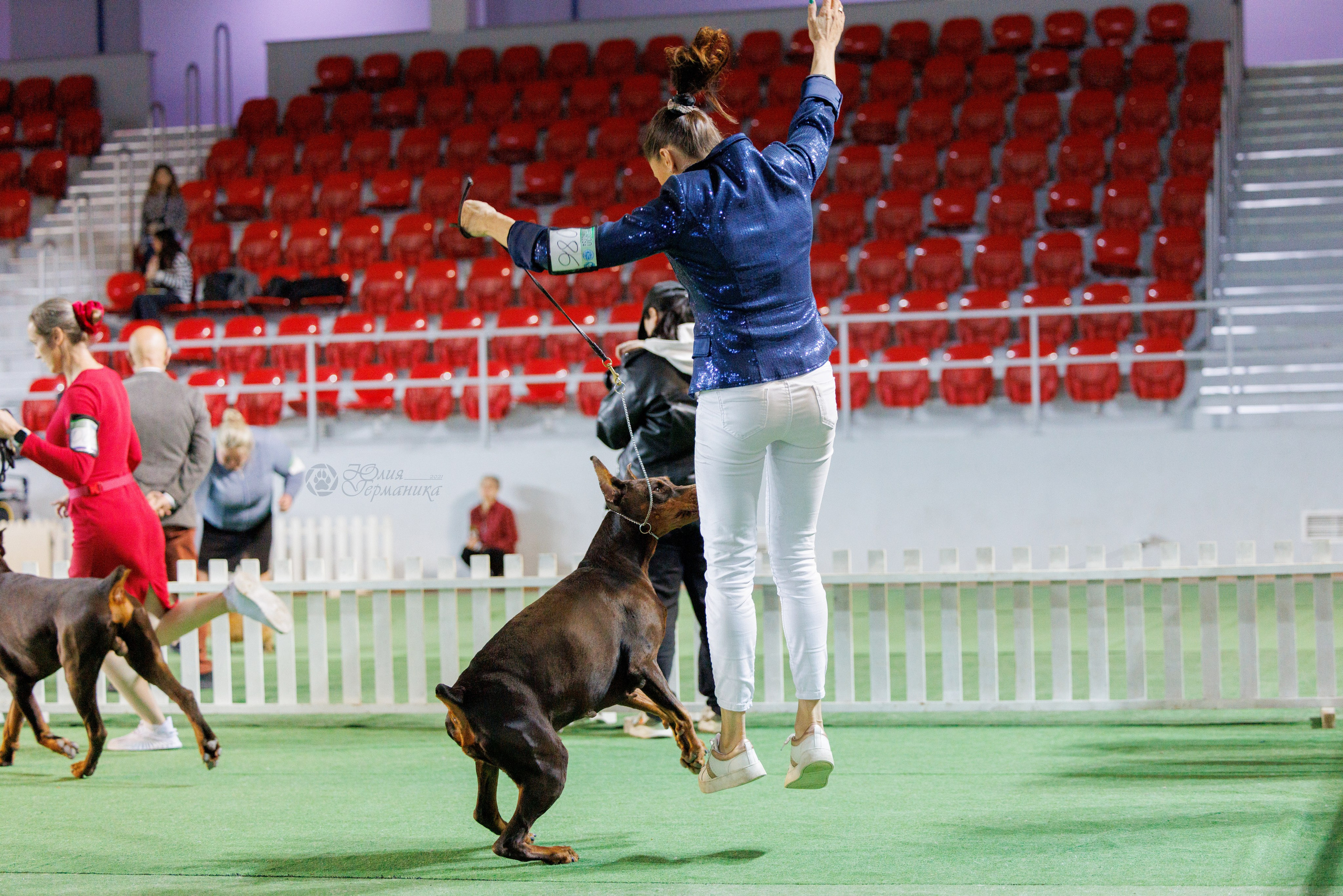 Грузия,Телави 2хCACIB 19-20.10.2024. Фотограф-анималист Юлия Германика