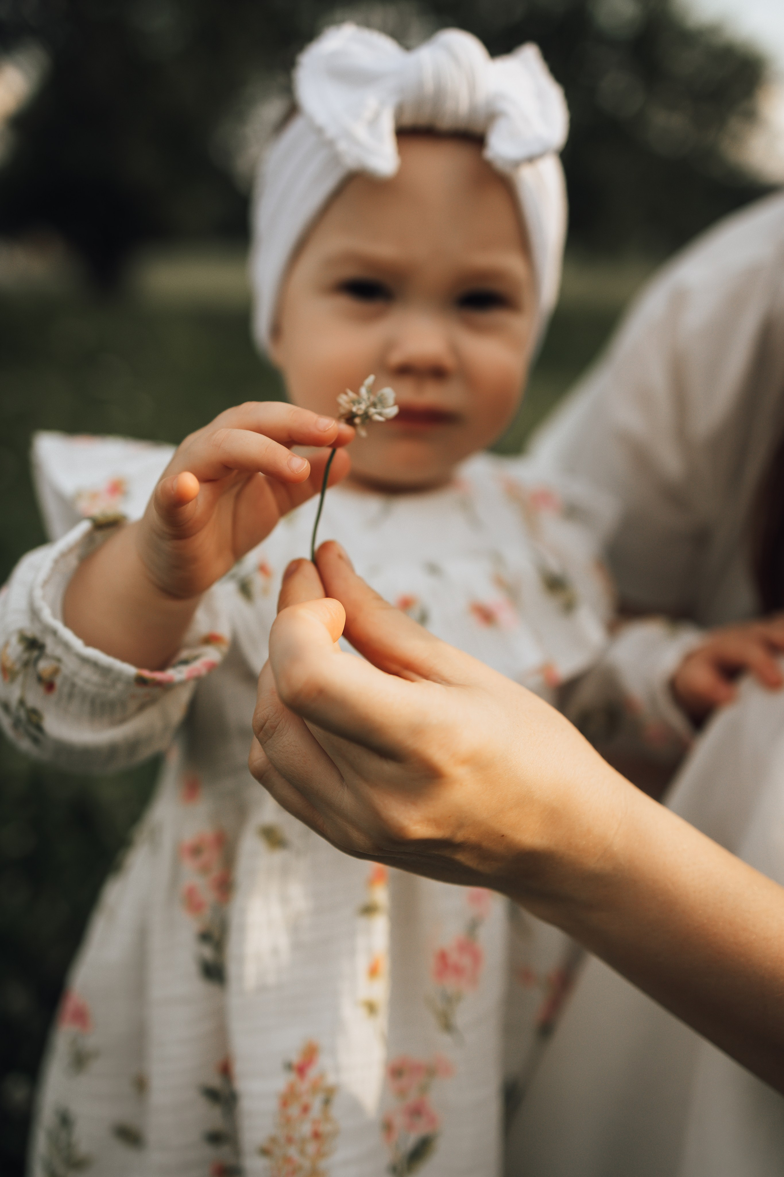Агате годик!. Семейный фотограф Москва Юлиана Фетисова
