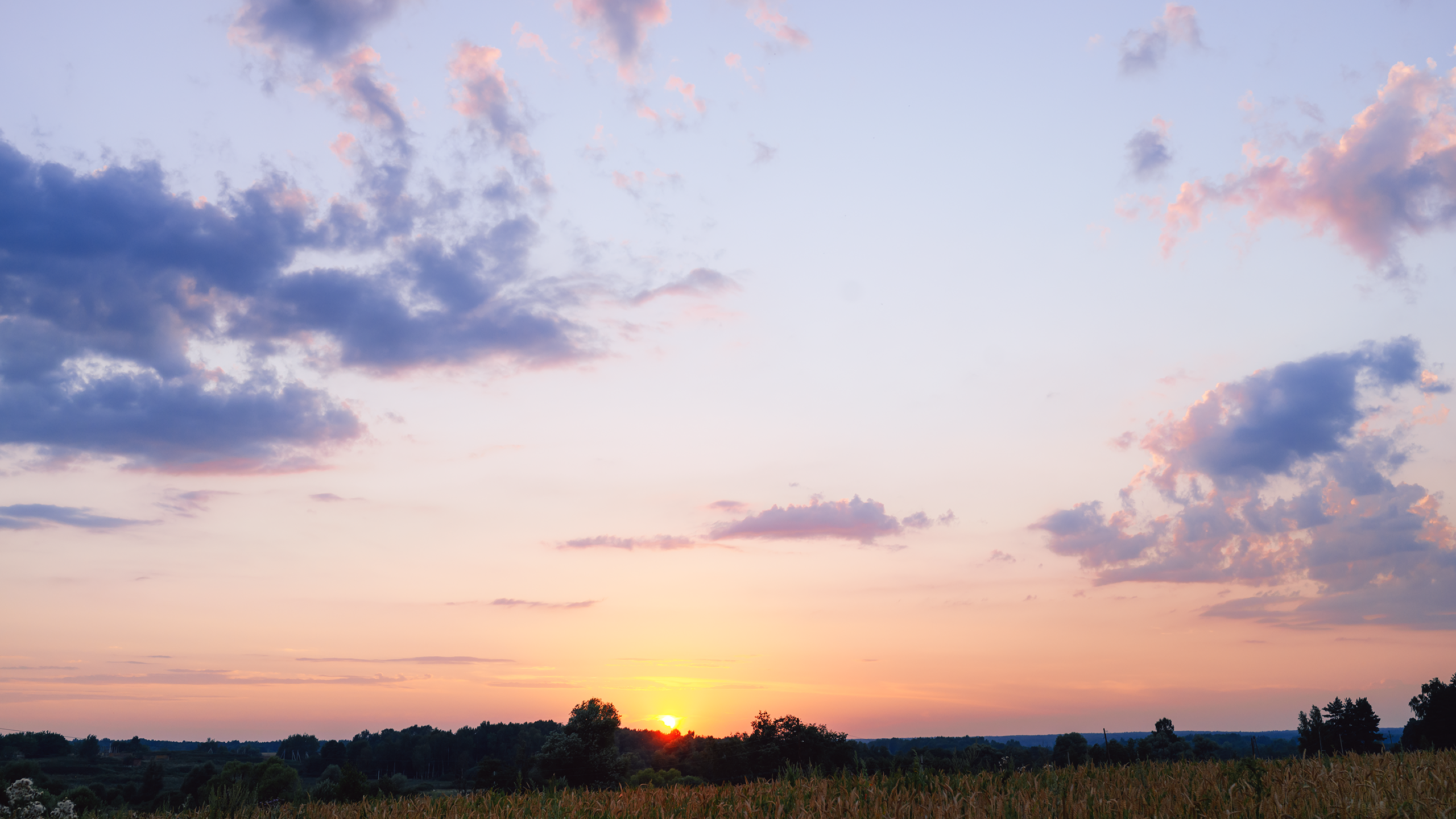 Небо видело всё. Komonev