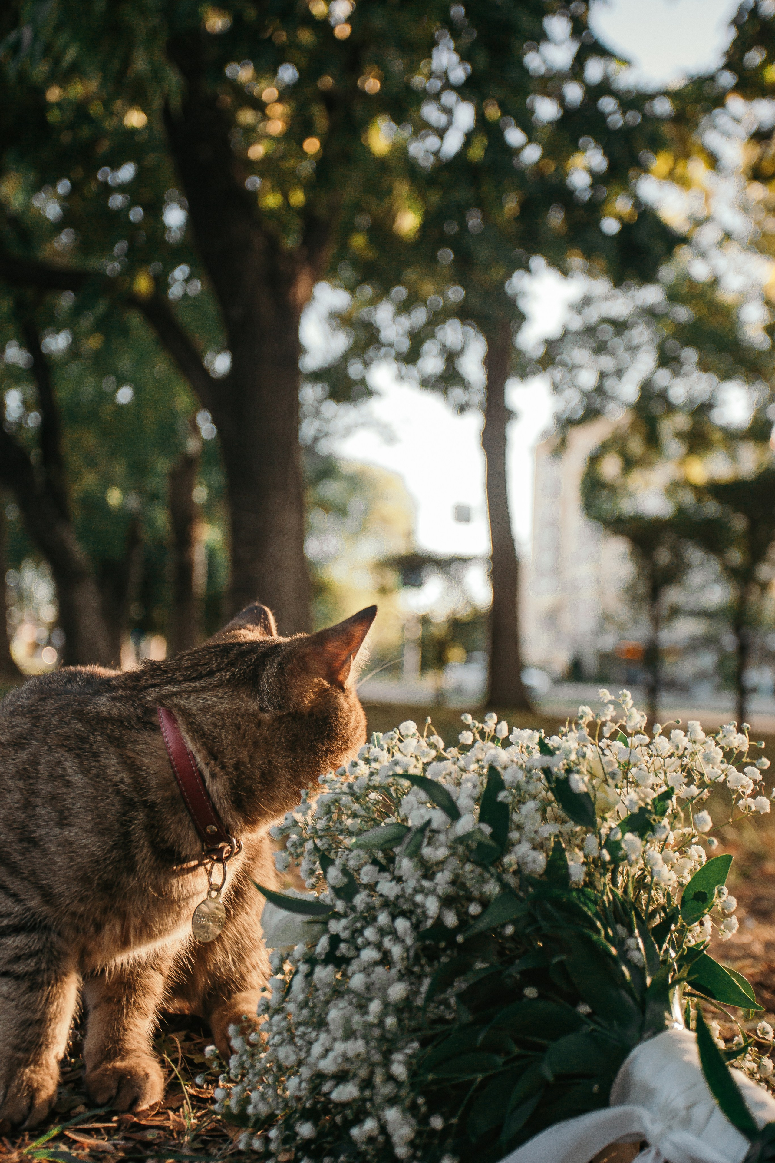 Nikita and Ksenia. СВАДЕБНЫЙ ФОТОГРАФ В МОСКВЕ ВИТАЛИЙ РУБЦОВ