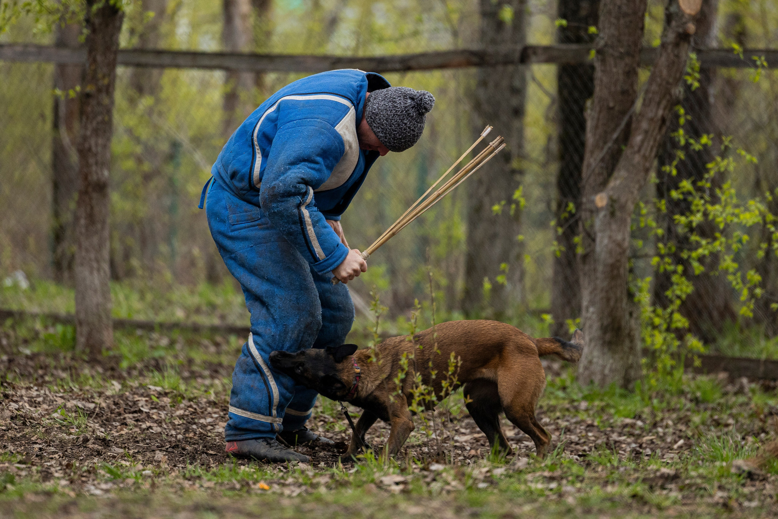 Квалификационные состязания по мондьорингу г. Вологда 11.05.24. Фотограф-анималист Анна Маринич