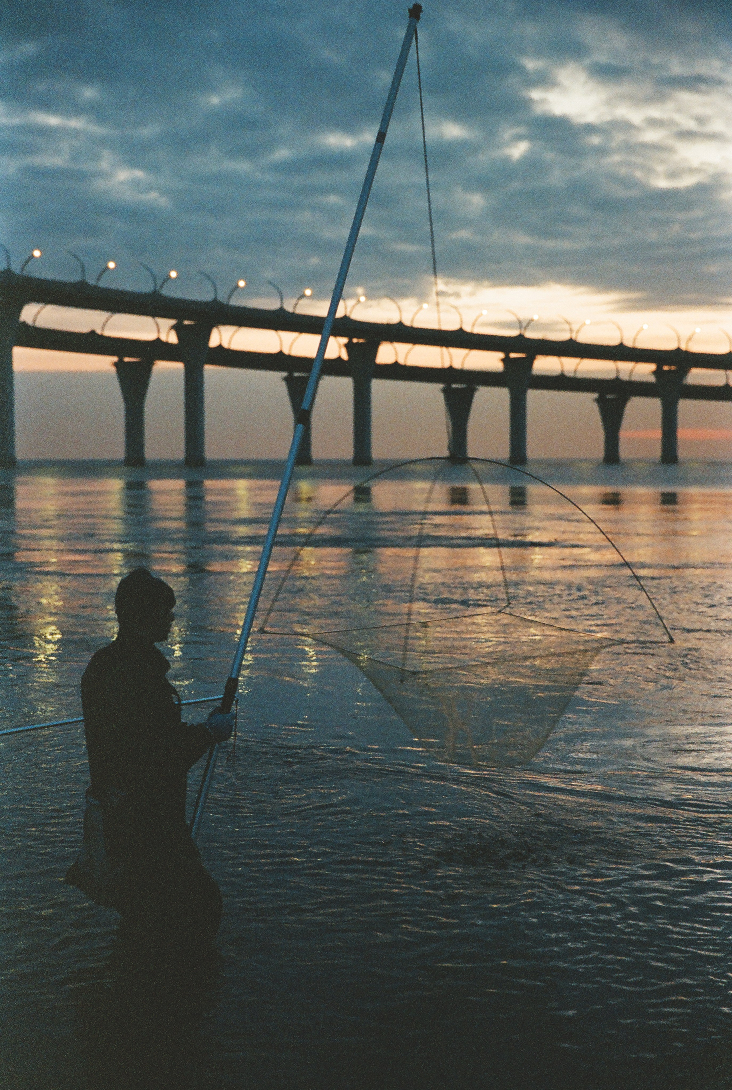 Фотографии цветные. Свадебный и семейный пленочный фотограф в Петербурге Истомина Ирина