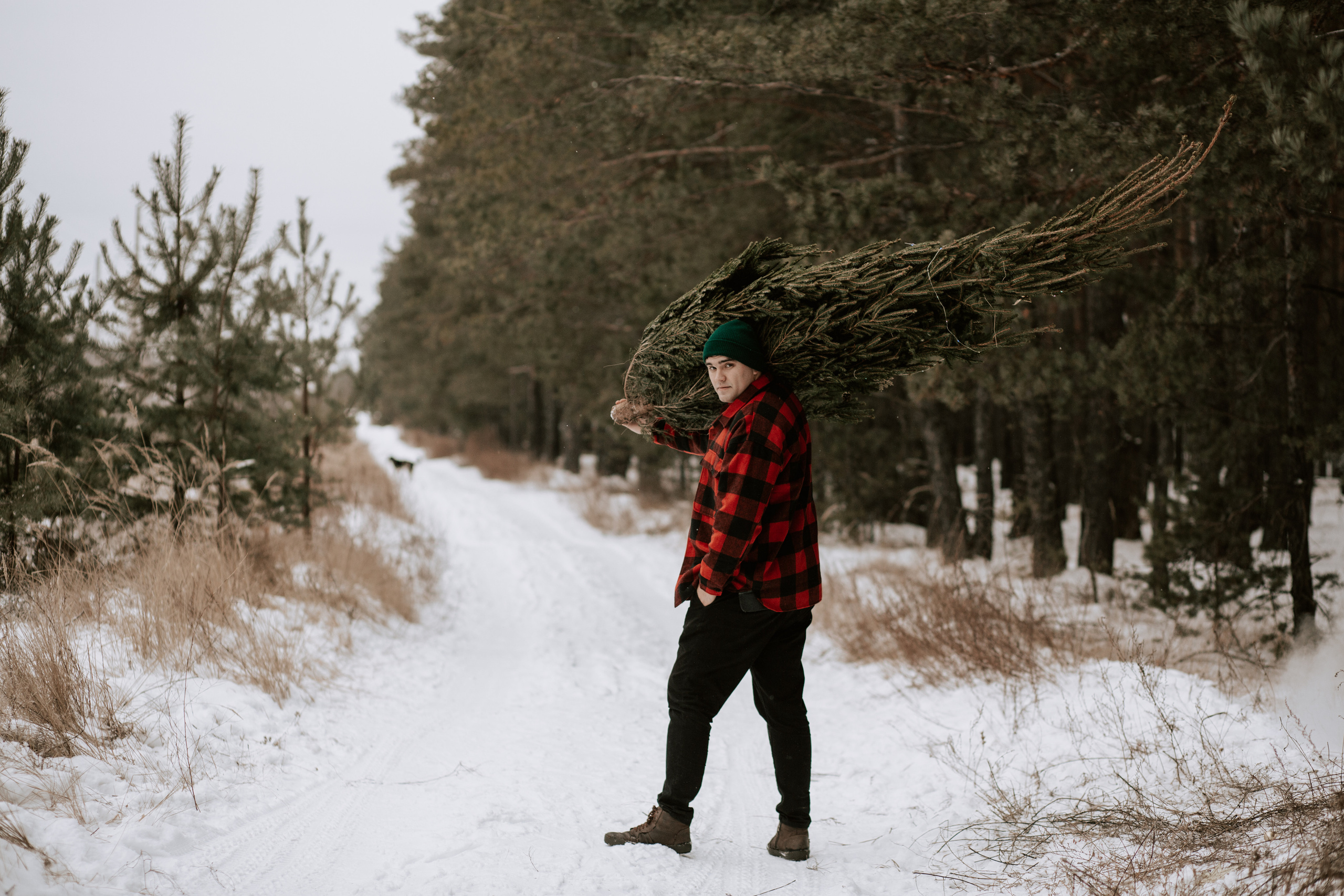Ямщиковы. Свадебный и Репортажный фотограф Нижний Новгород Москва Ежов Иван