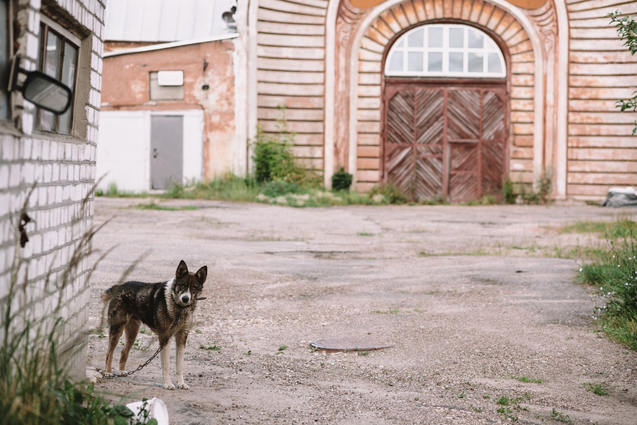 Рома и Ира. Свадебный и Репортажный фотограф Нижний Новгород Москва Ежов Иван