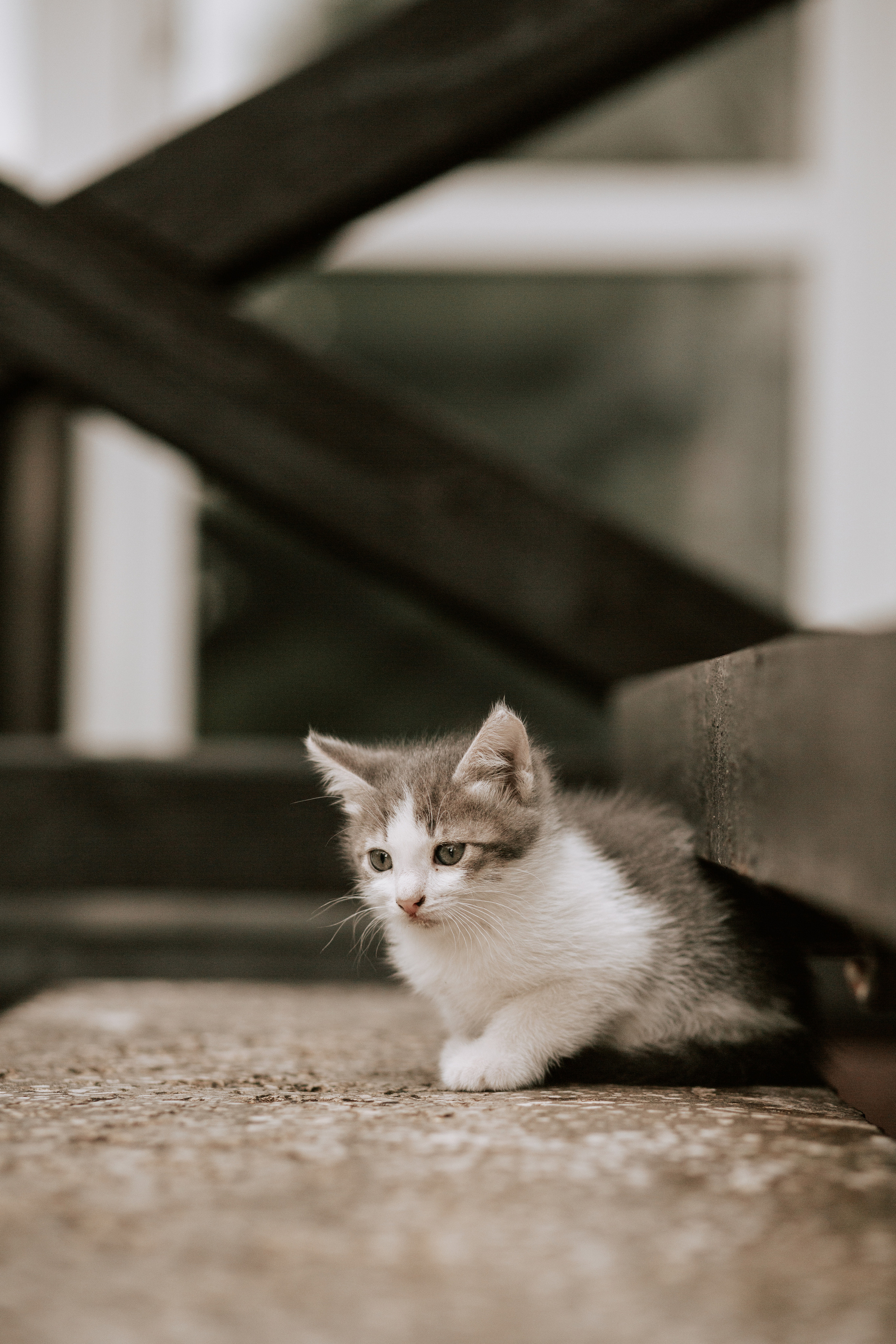 Алексей и Яна. Свадебный и Репортажный фотограф Нижний Новгород Москва Ежов Иван