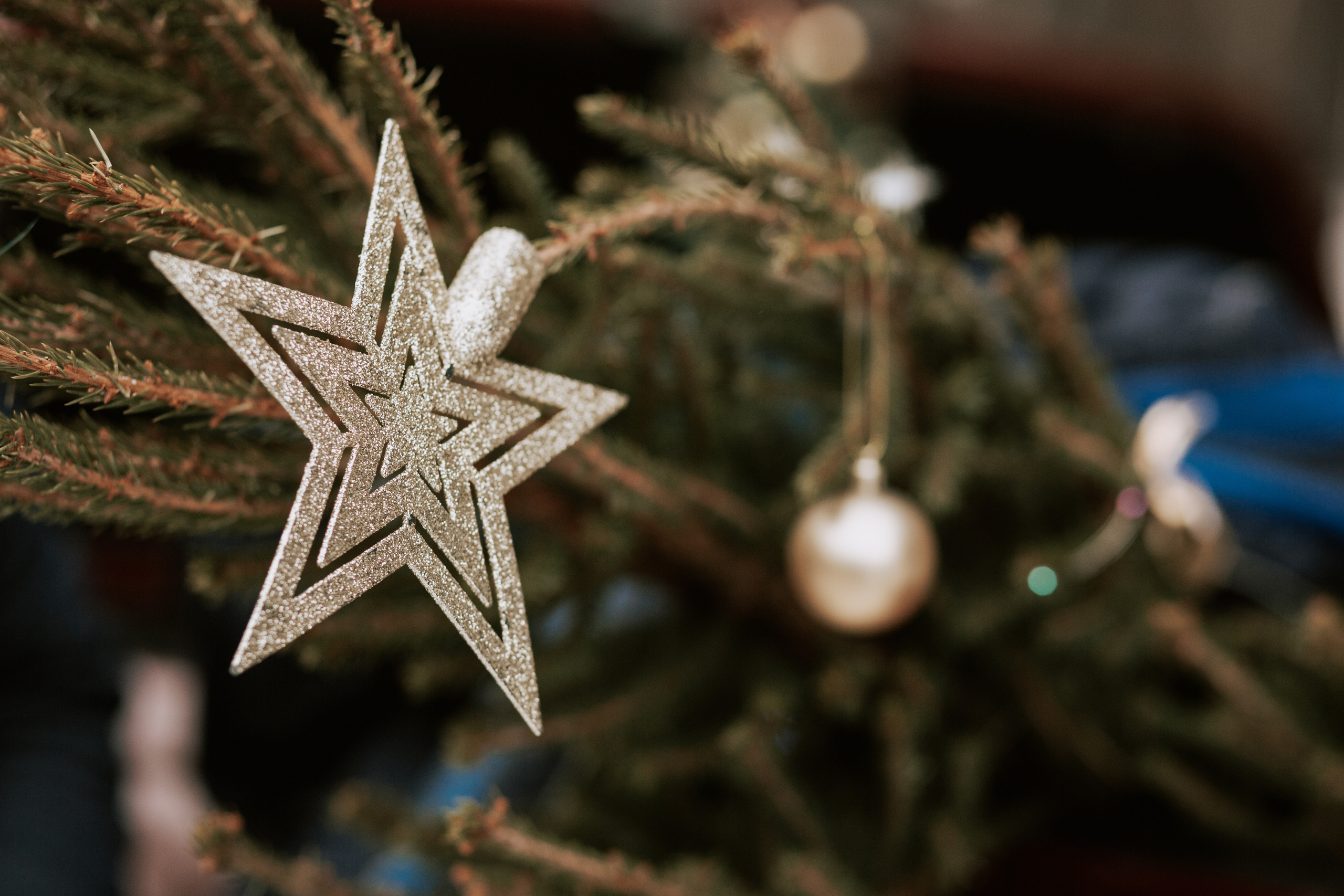 Ямщиковы. Свадебный и Репортажный фотограф Нижний Новгород Москва Ежов Иван