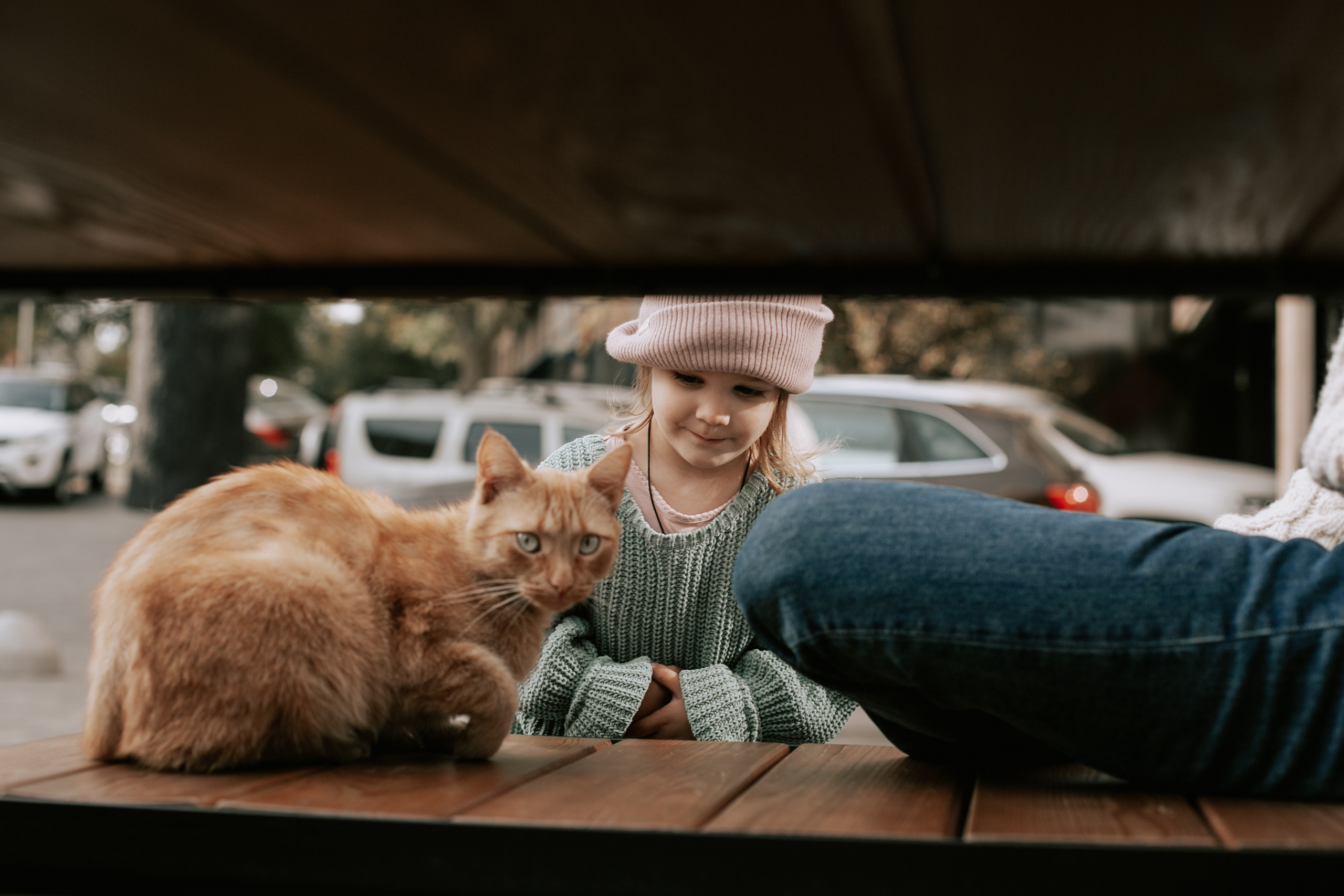 Лембрики. Свадебный и Репортажный фотограф Нижний Новгород Москва Ежов Иван