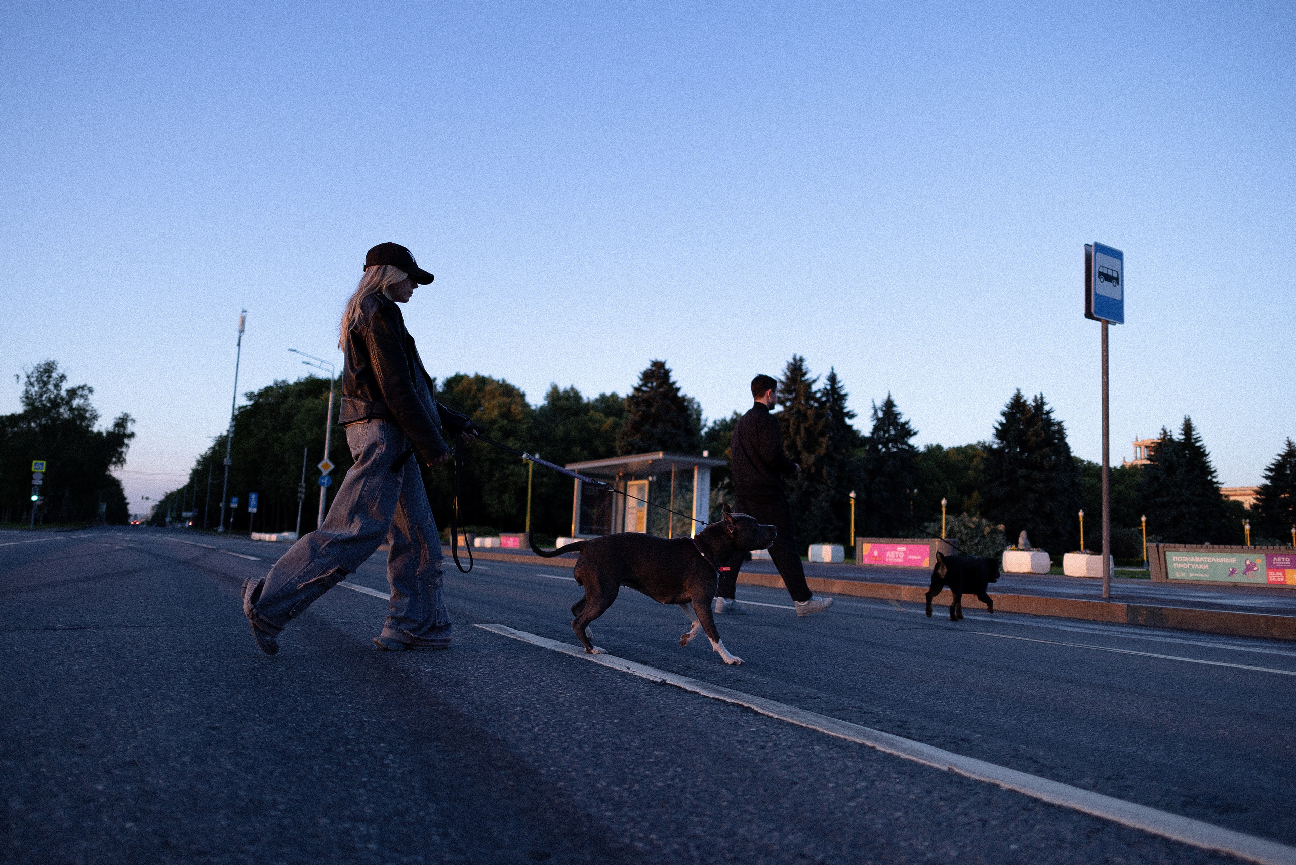 Катя, Леша, Лея и Трой. Фотограф и видеограф анималист Аганина Дарья