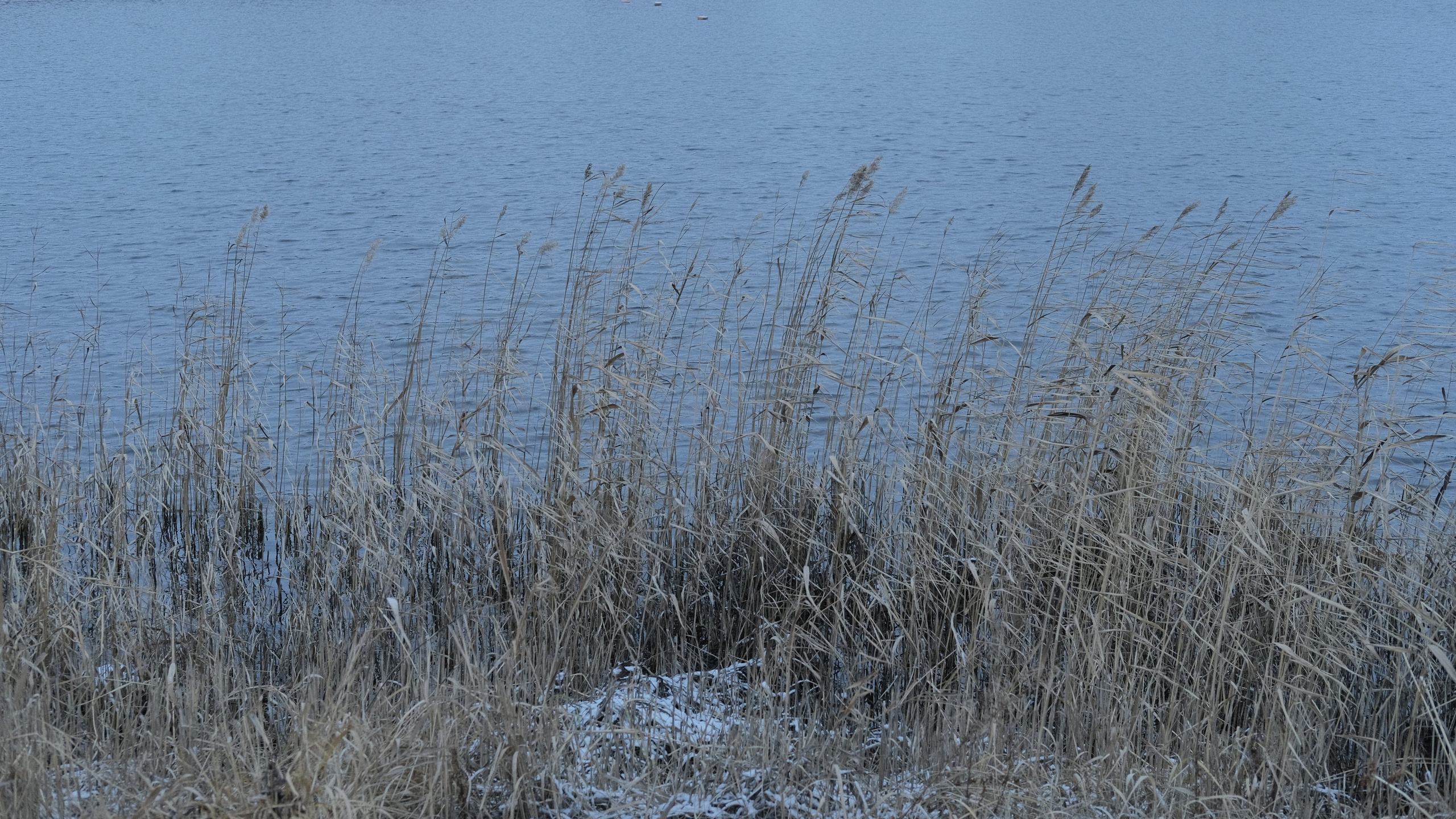 Наблюдения. Семейный фотограф в Новосибирске Артём Кузнецов