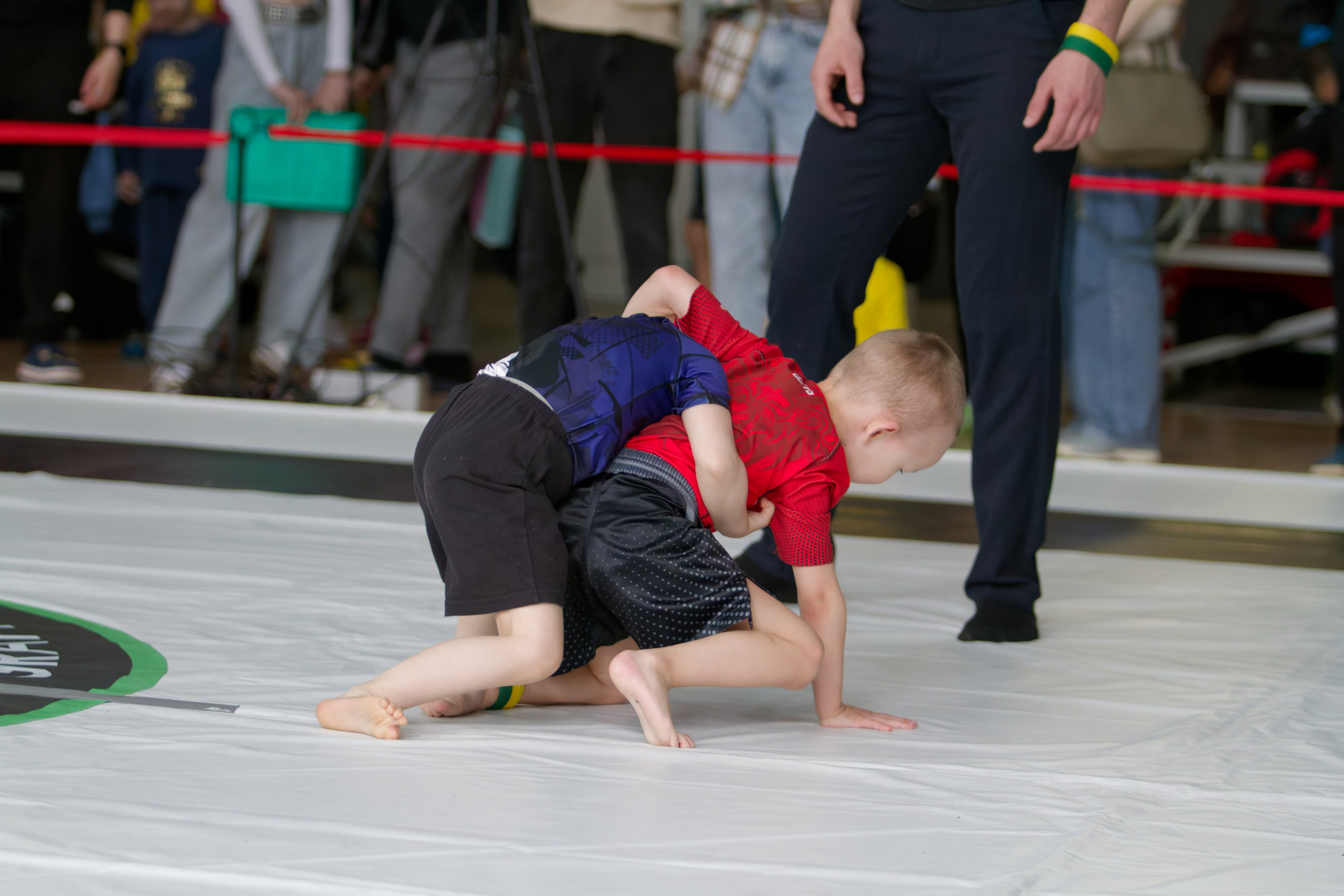 Борьба. Джиу-джитсу 26.04.2025. Репортажный и спортивный фотограф в г. Пермь Зильберг Павел