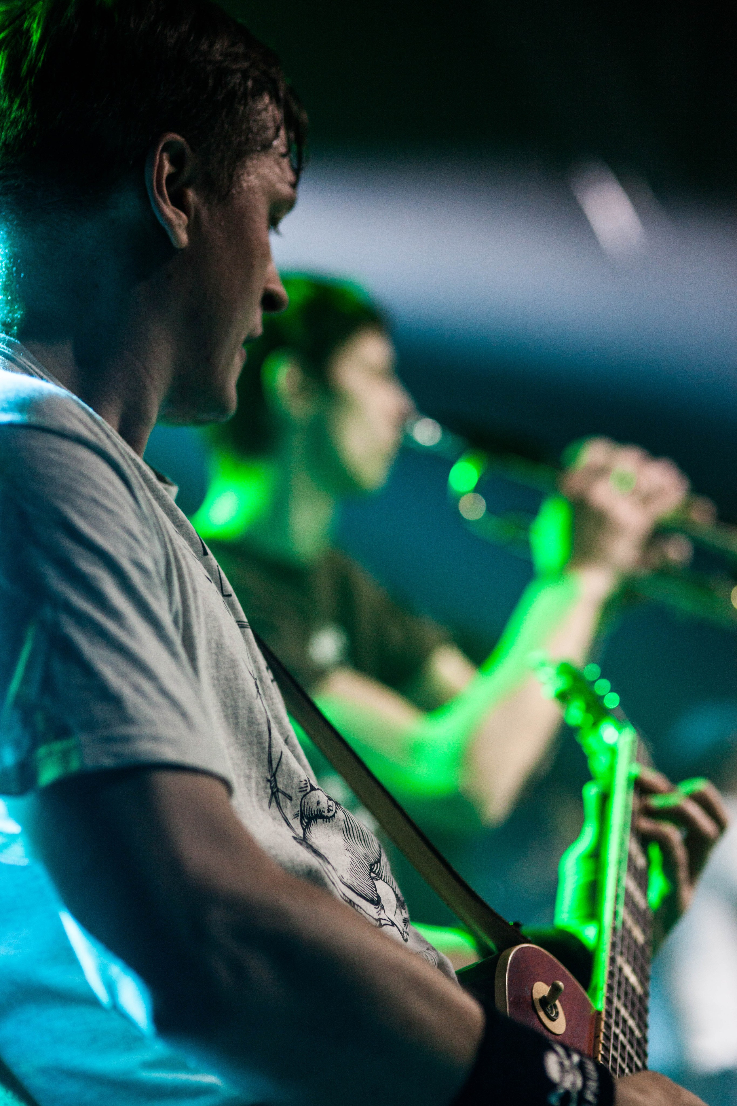 Distamper. Твой фотограф — Полосатый кот