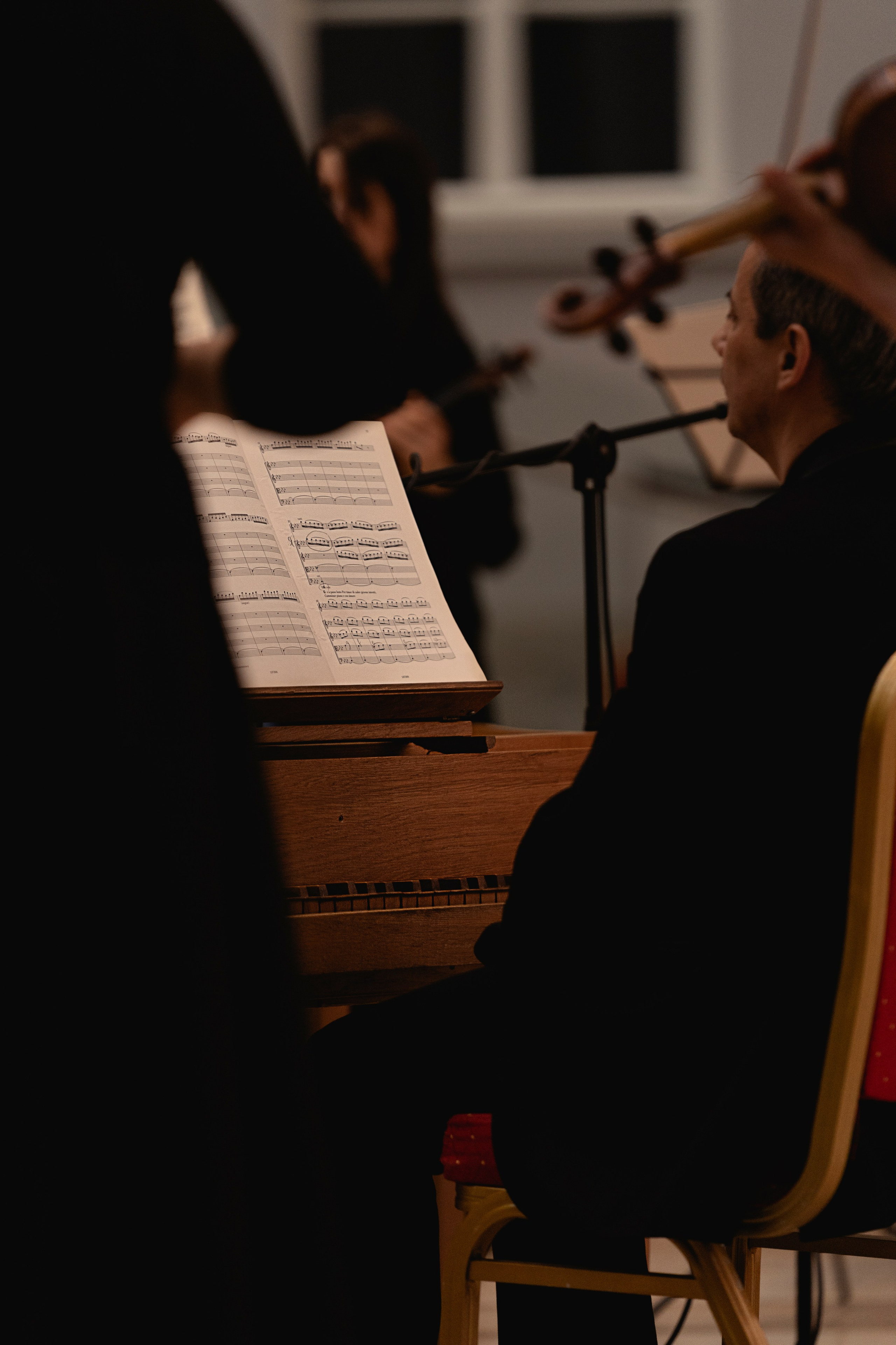 The State Hermitage Museum. Divertissement Chamber Orchestra. Фотограф Ирина Соколенко Санкт-Петербург