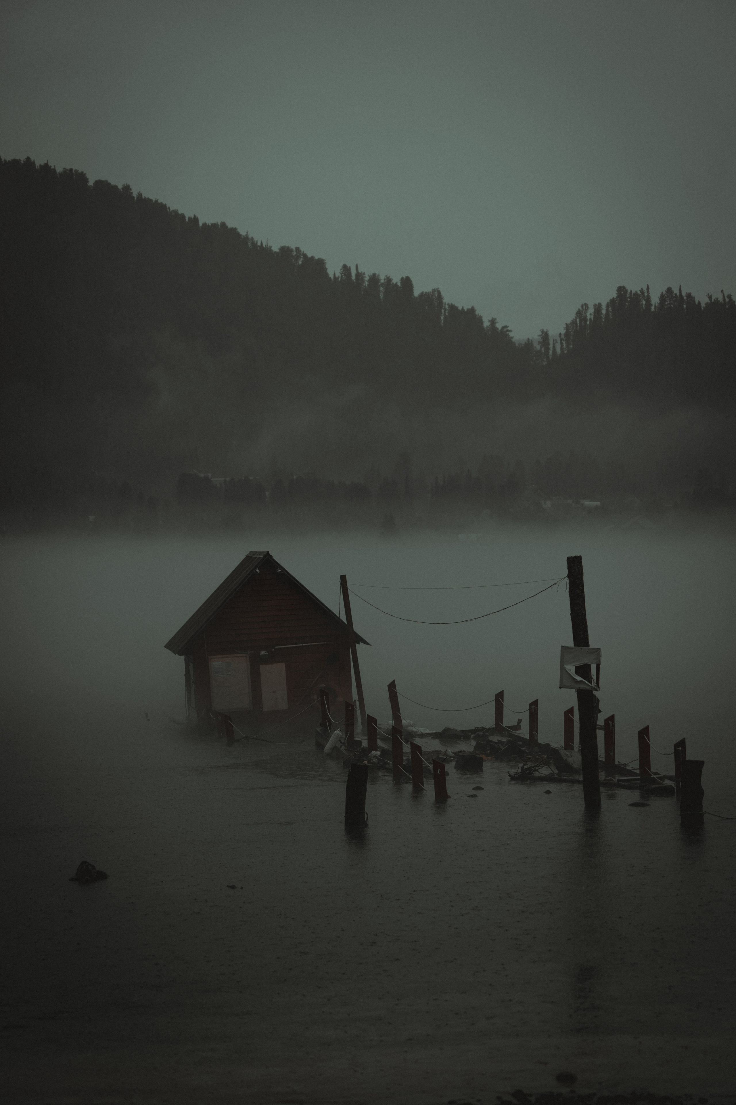 Алтай. Оператор и Фотограф в Санкт-Петербурге и Москве