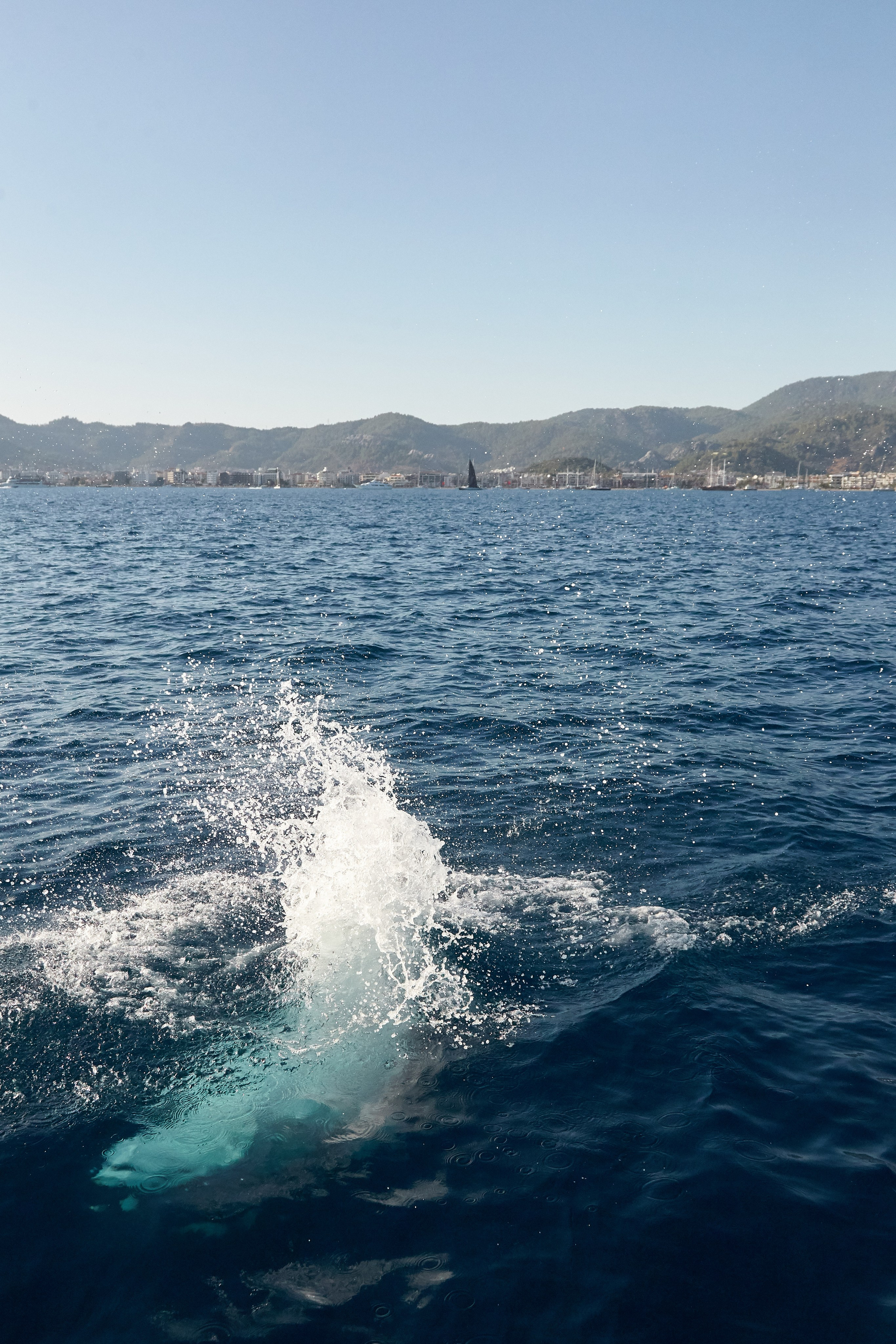 MIRW2022. Фотохроника для следующих поколений