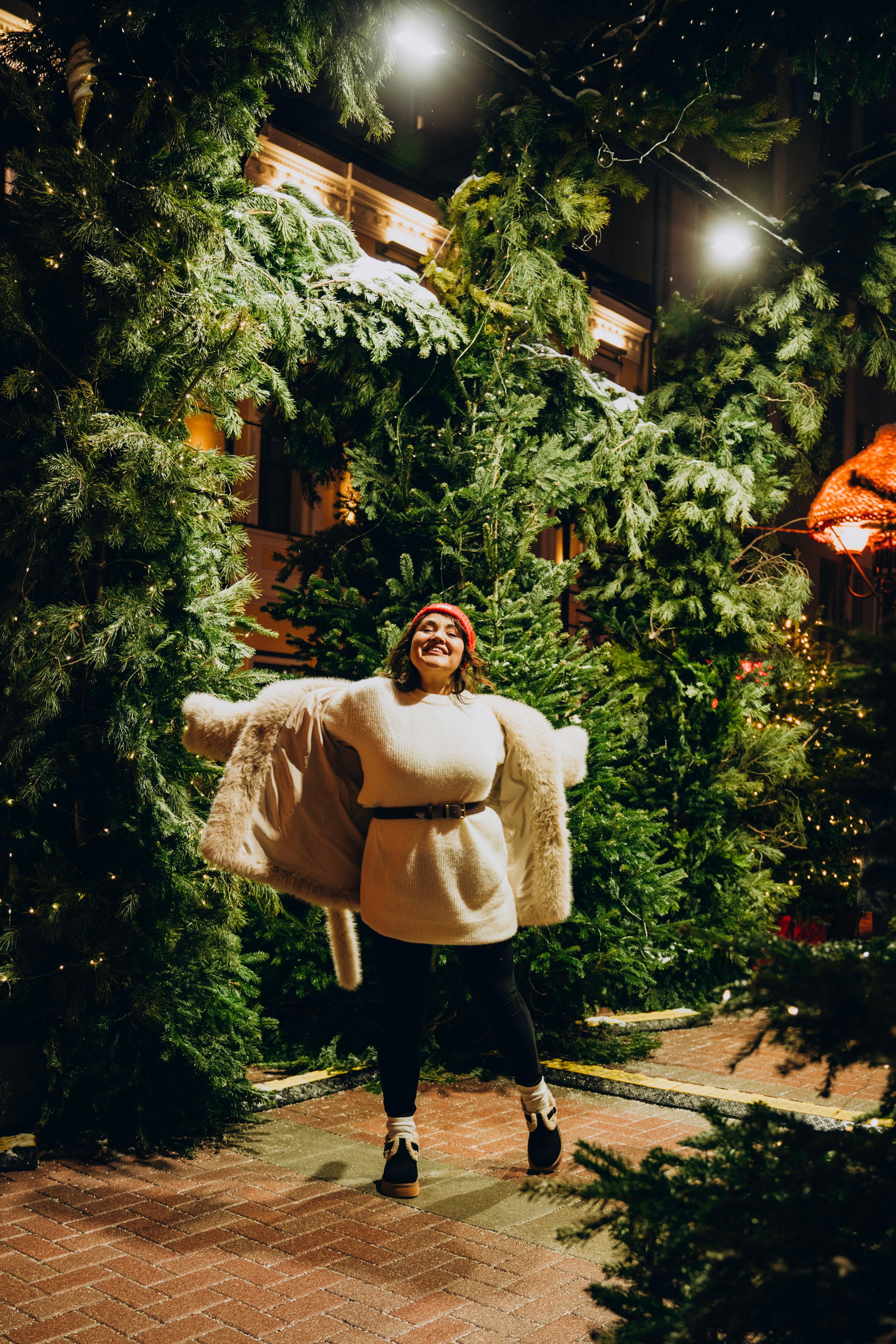 Новогодние прогулки