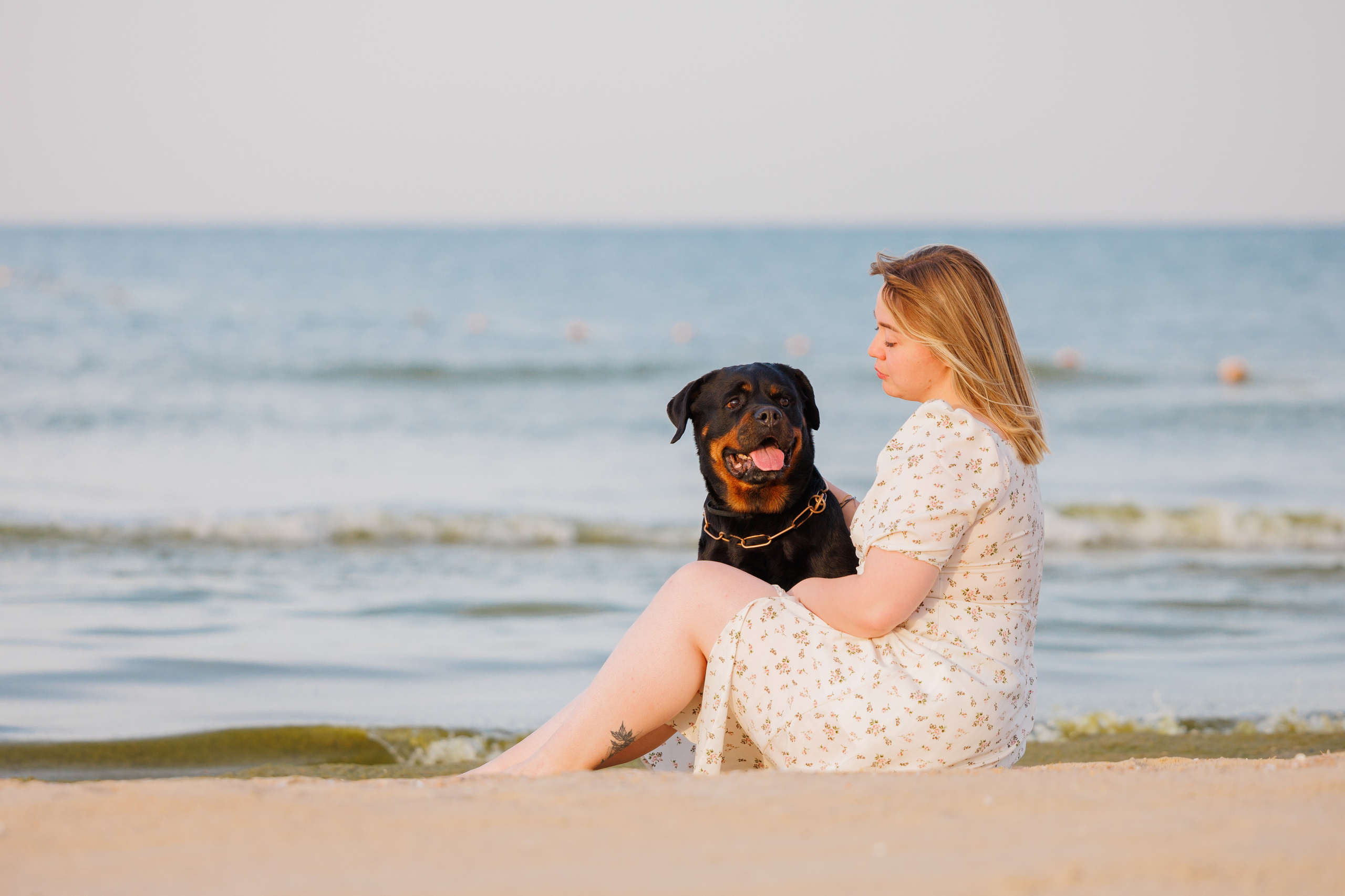 Свободная съемка. Фотограф-анималист Юлия Германика