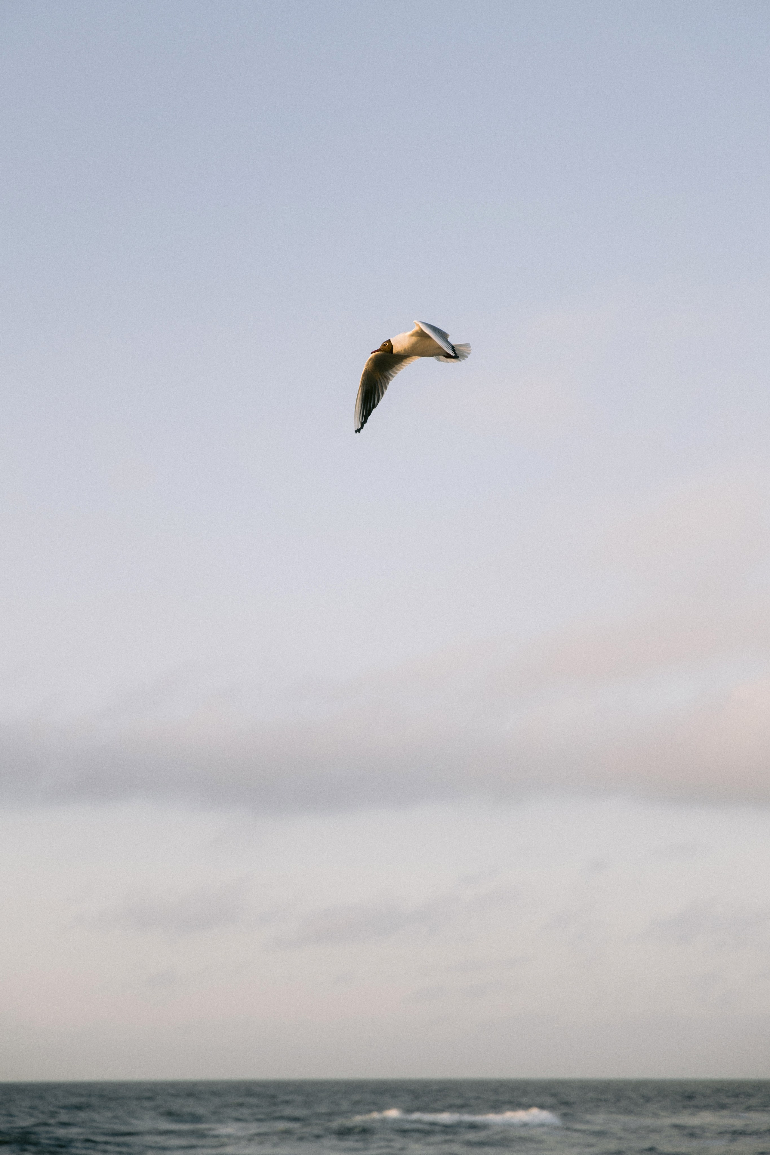 Свадебная фотосессия на закате на море. Свадебный фотограф в Калининграде Мария Ямышева