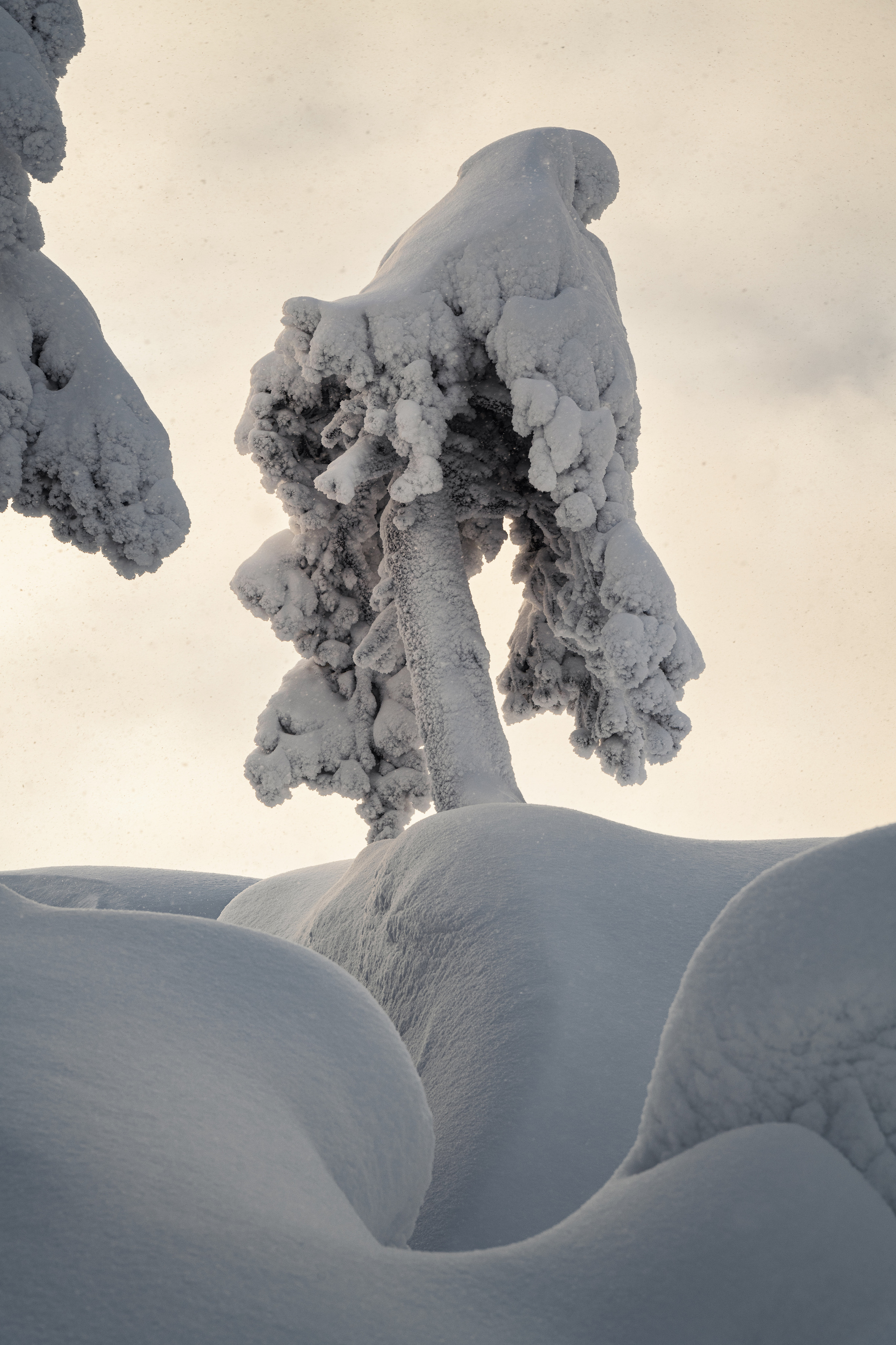 Пермский край. Елена Лебедева. Фотограф