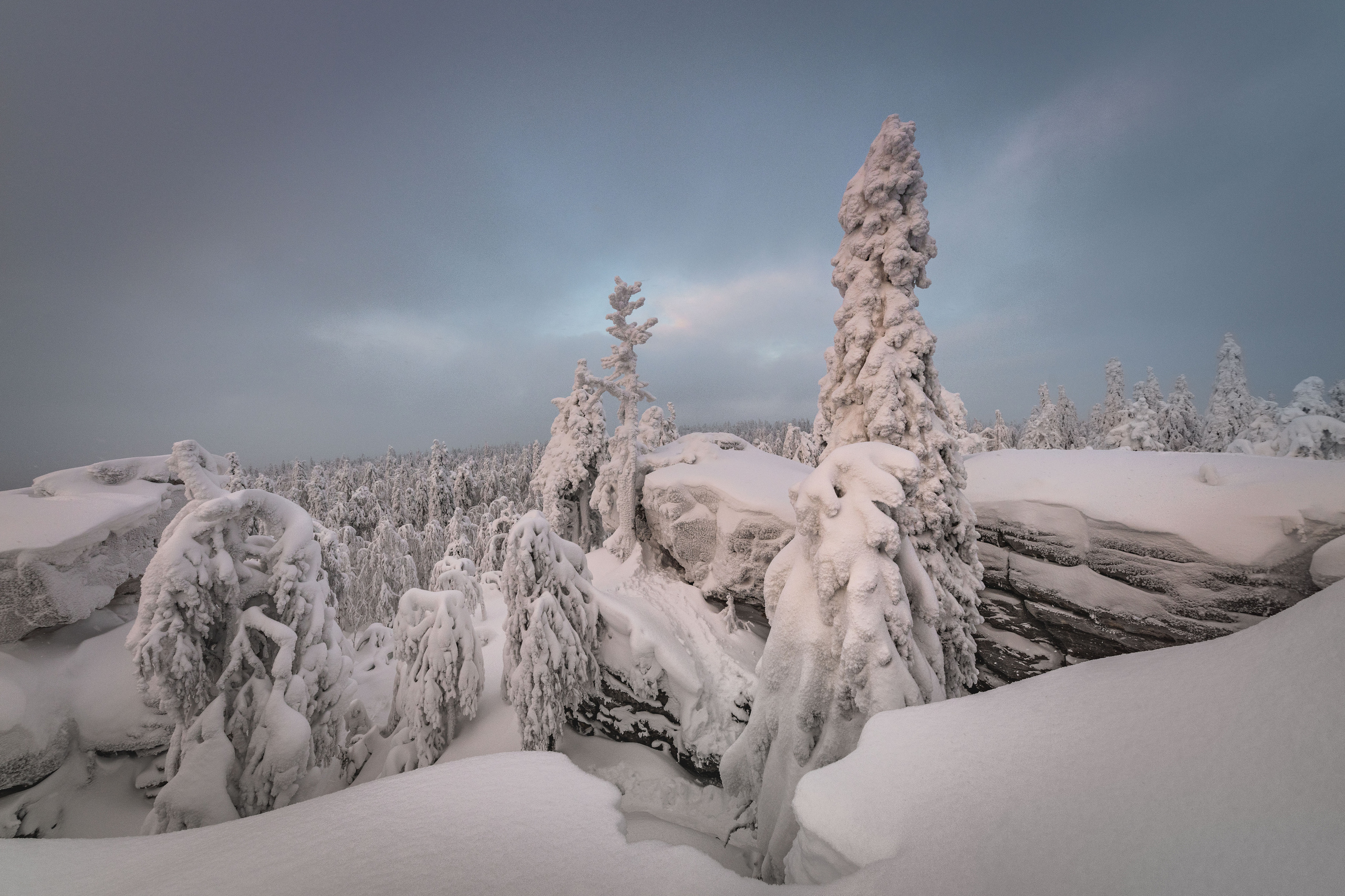 Пермский край. Елена Лебедева. Фотограф