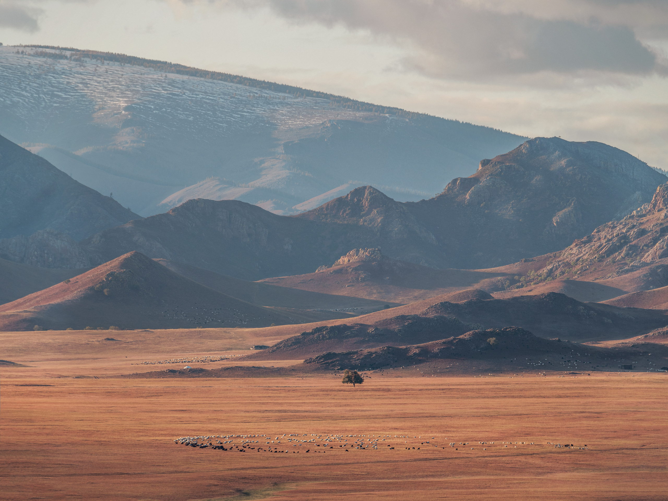 Монголия. Елена Лебедева. Фотограф
