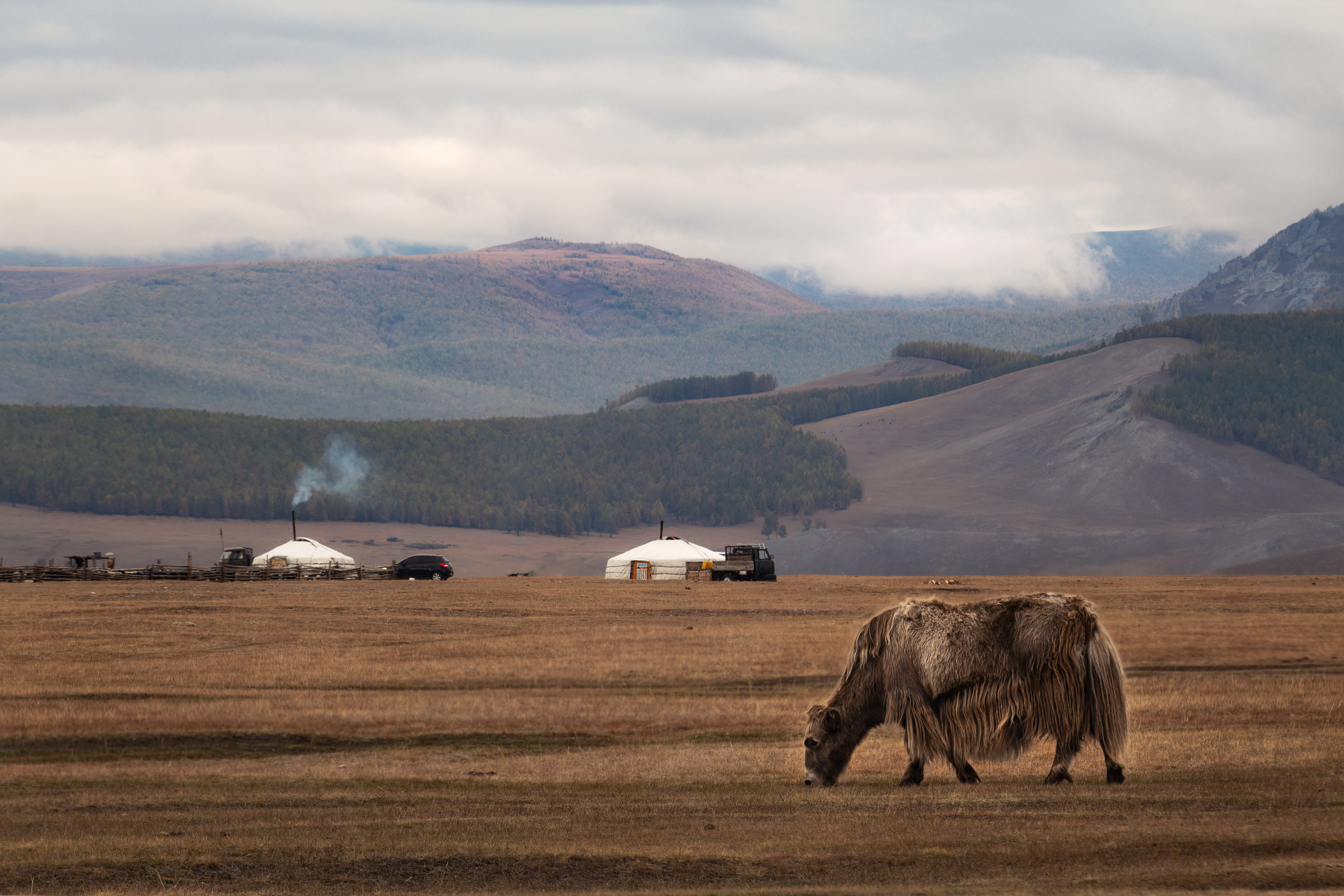 Монголия. Елена Лебедева. Фотограф