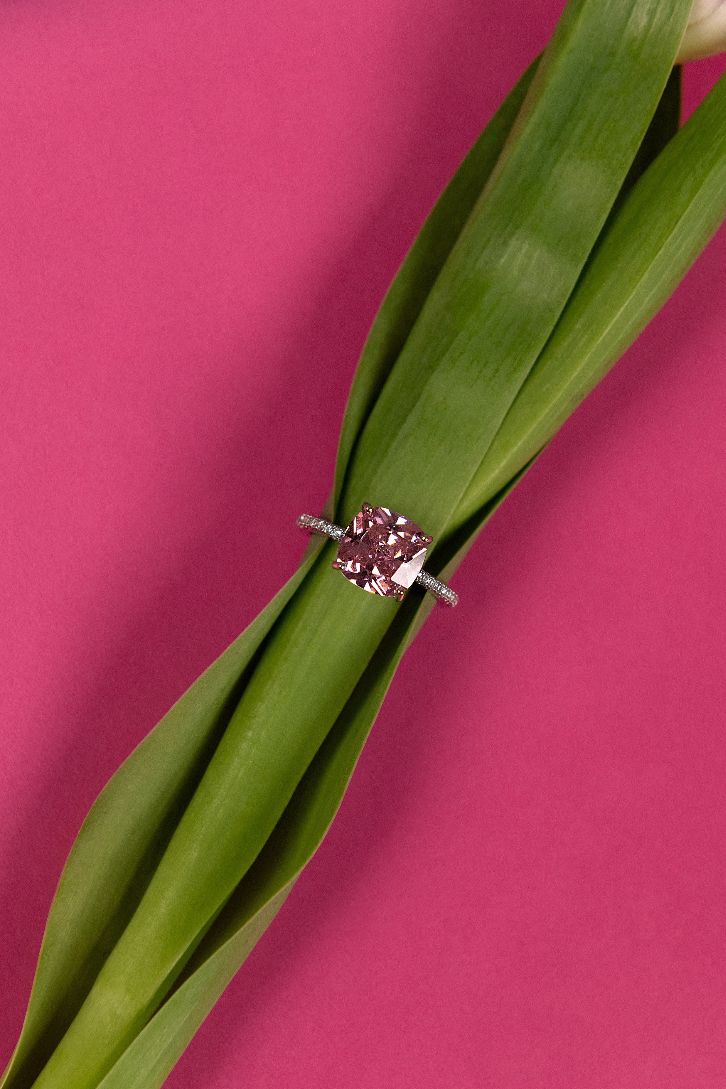 Брендам. ФОТОСТУДИЯ СЕНСАЦИЯ | Рязань