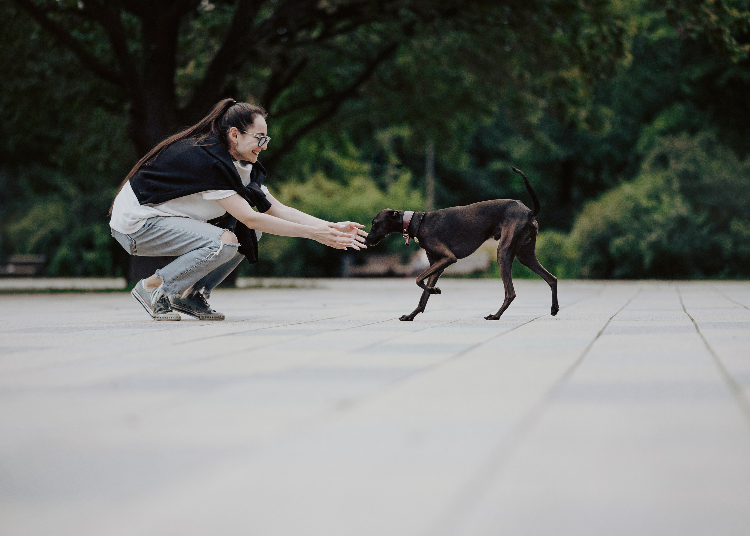 Дофи. Фотограф- анималист Александра Матвеева