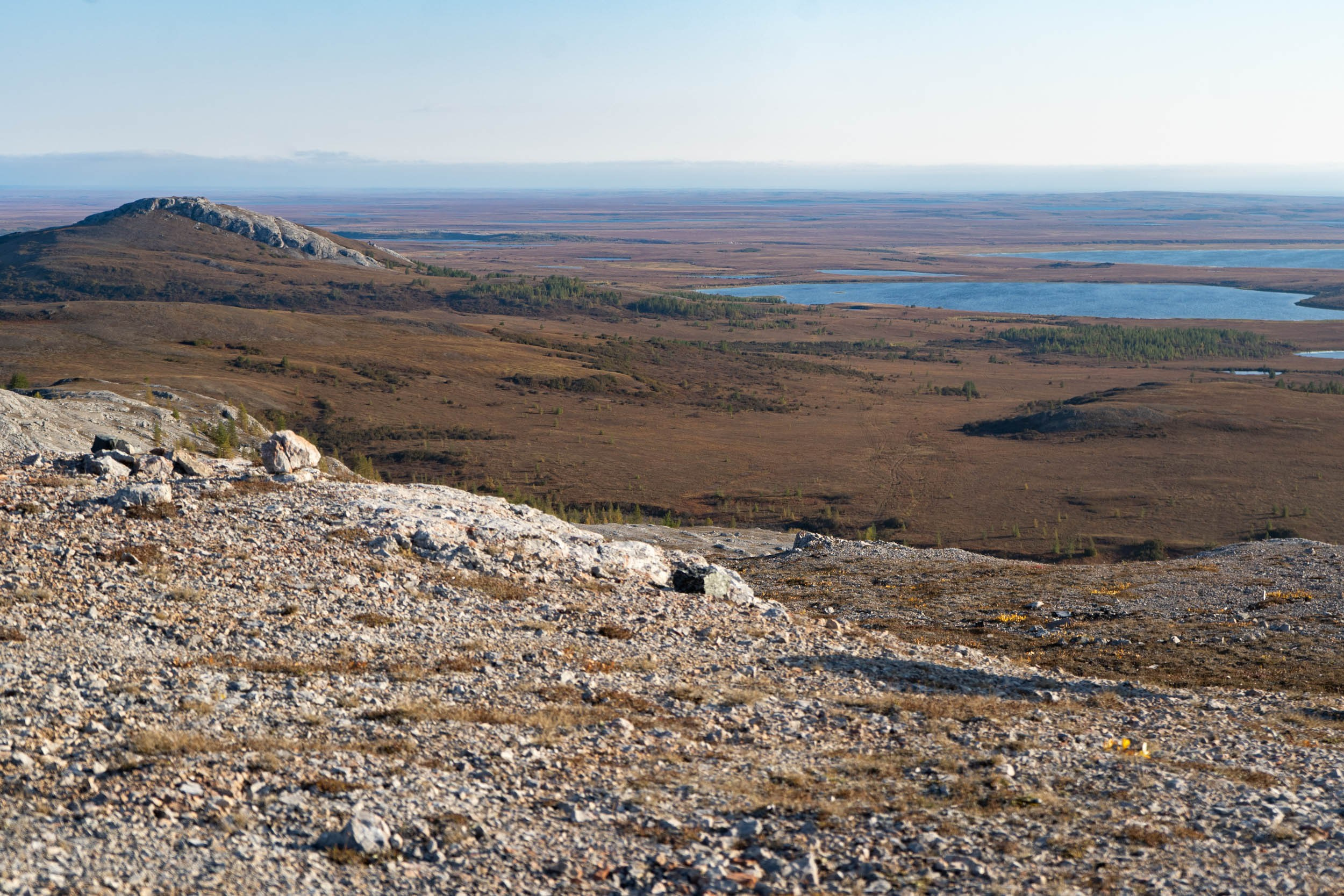 Рифы девонского моря. Фотограф Екатерина Зорина