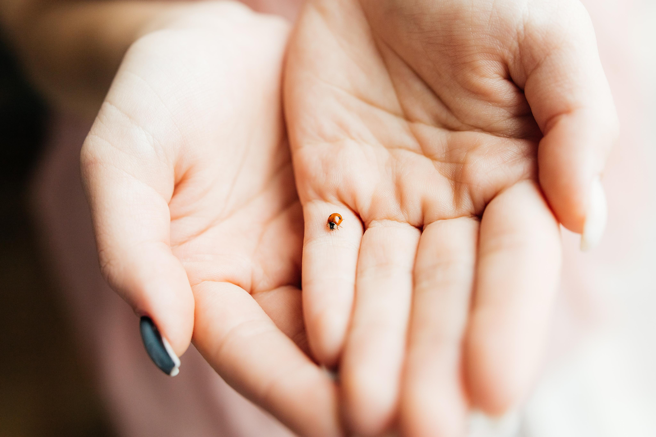 Ариша. Фотограф в Ульяновске