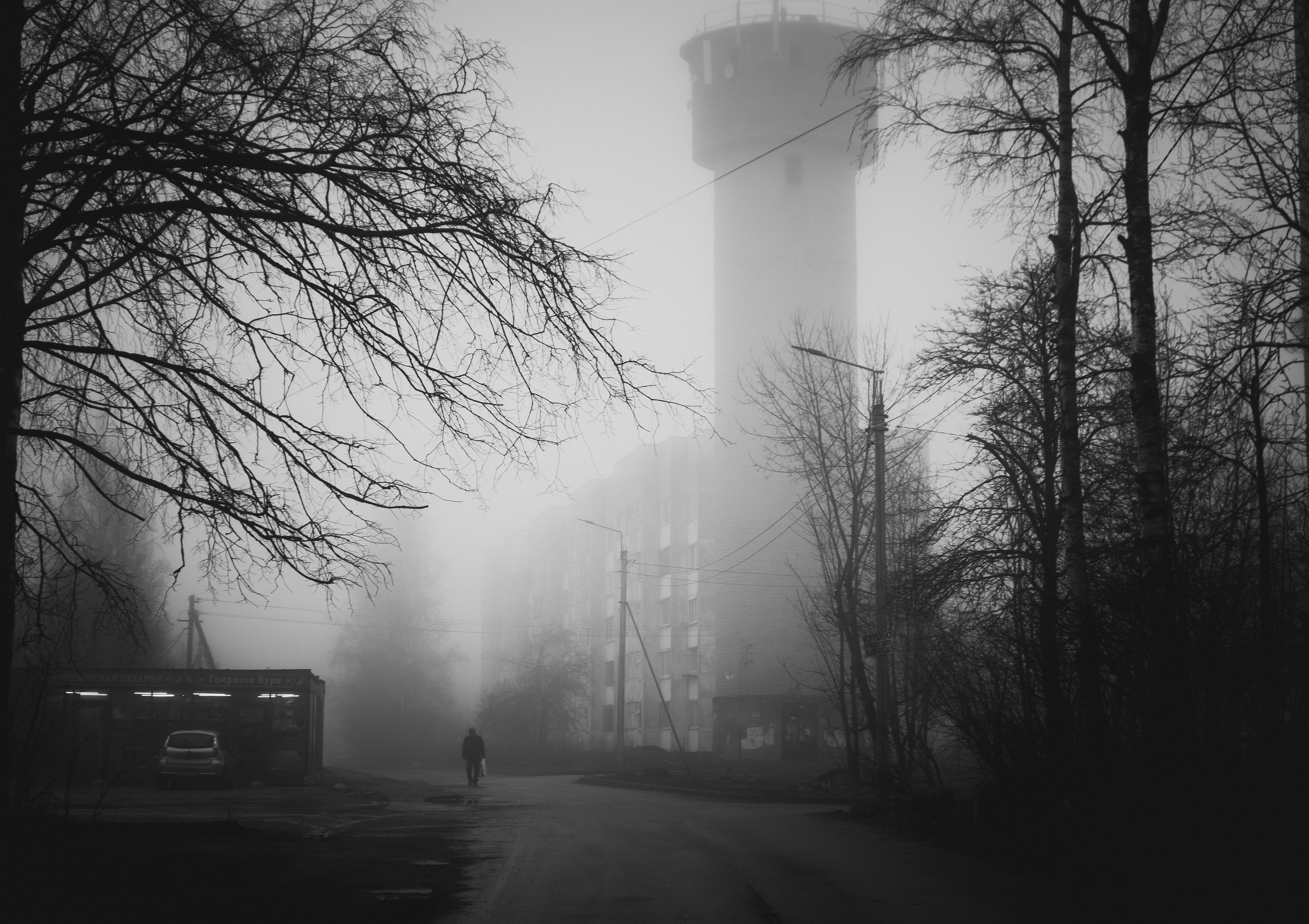 Туман, утренний туман в Санкт-Петербурге, туман в Романовке Санкт-Петербург, туман в черно-белом стиле, фото тумана в Санкт-Петербурге Ленинградская область 