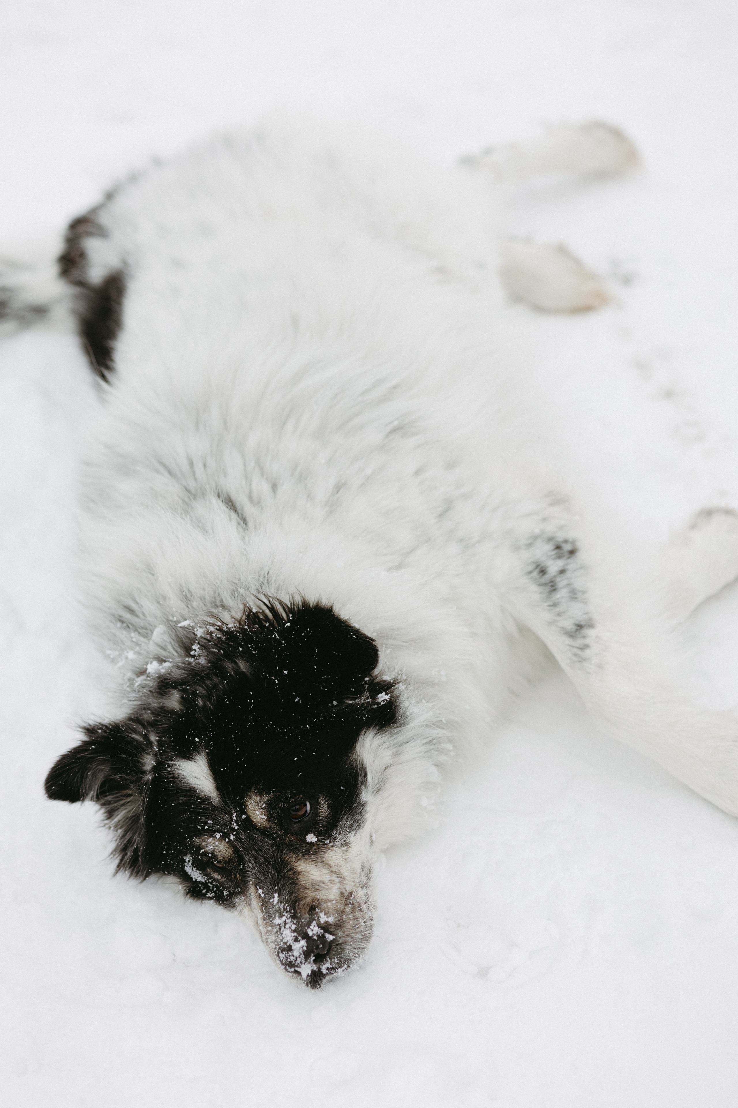 Изготовление куклы к Масленице. Про любовь