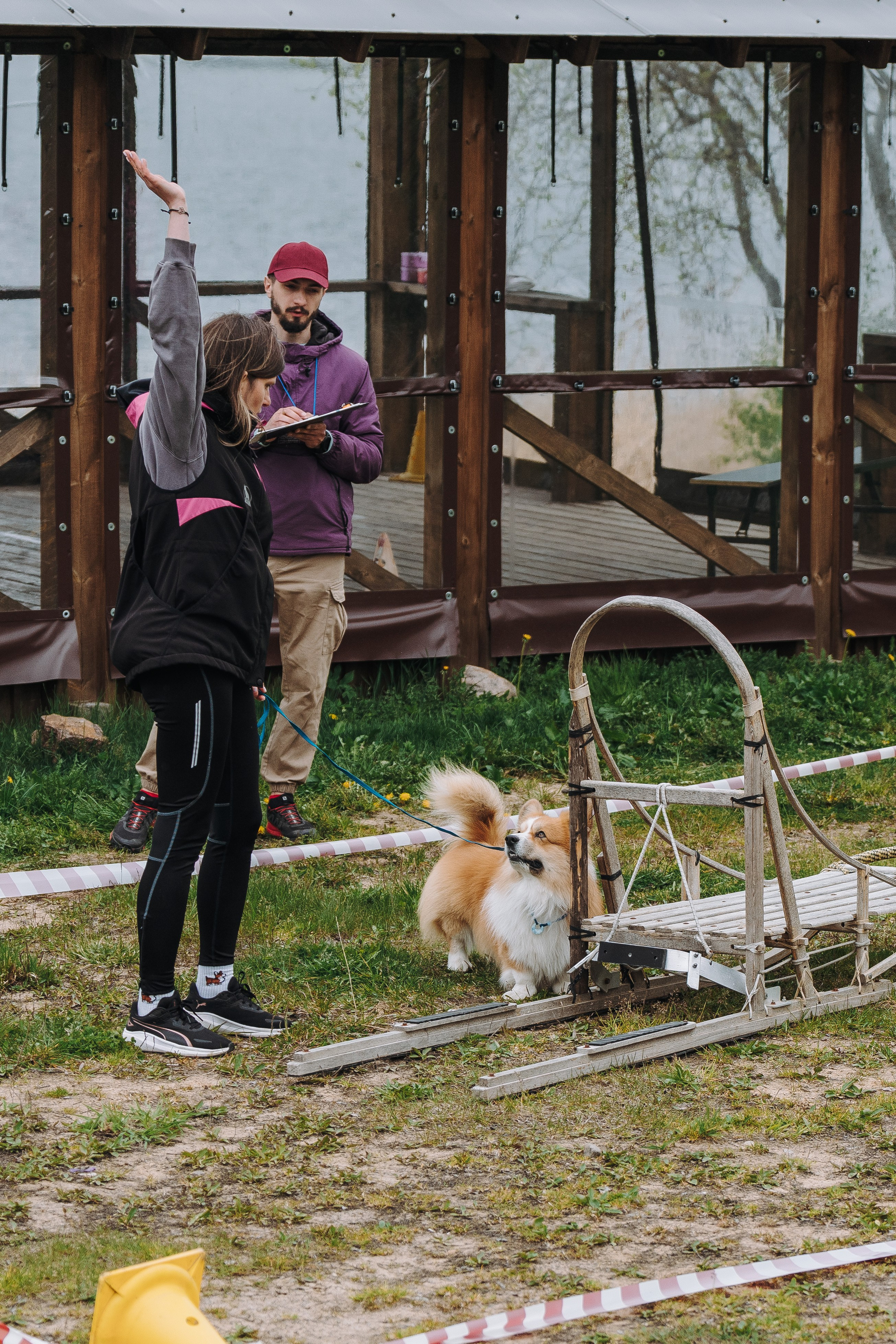 Соревнования по ноузворку в Лосево. Фотограф анималист в Спб недорого Олеся Майорова