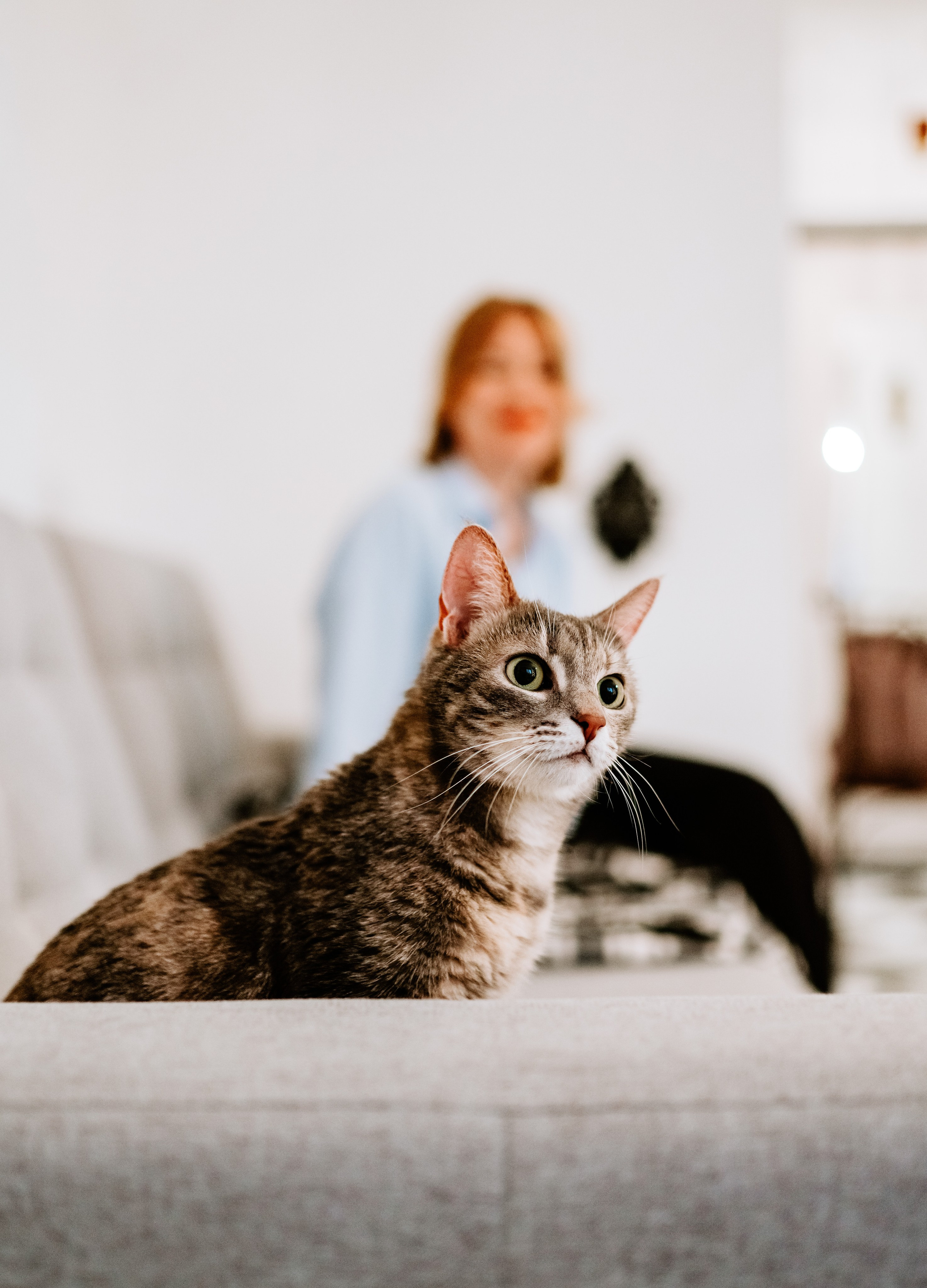 Натали и Иззи. Фотограф анималист в Спб недорого Олеся Майорова