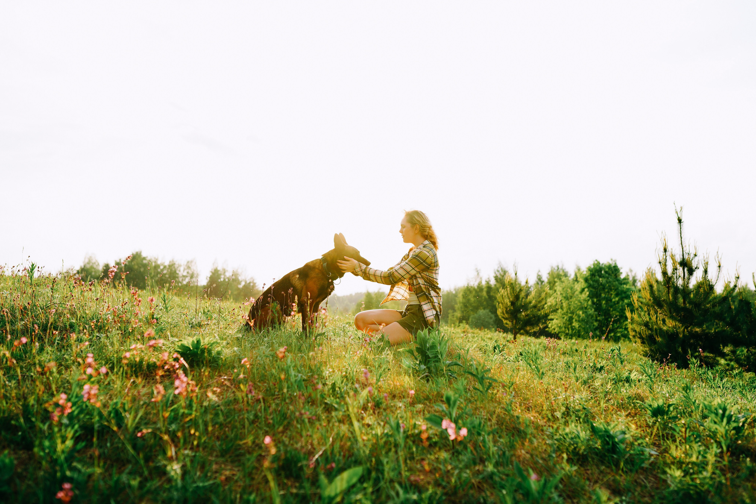 Фотоссесия с двумя собакми Спб. Фотограф анималист в Спб недорого Олеся Майорова