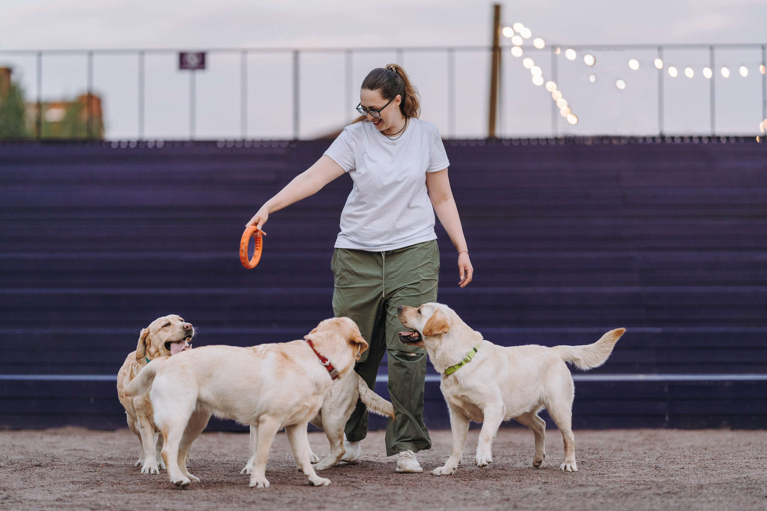 Фотосъёмка с вашими питомцами. Фотограф анималист в Спб недорого Олеся Майорова