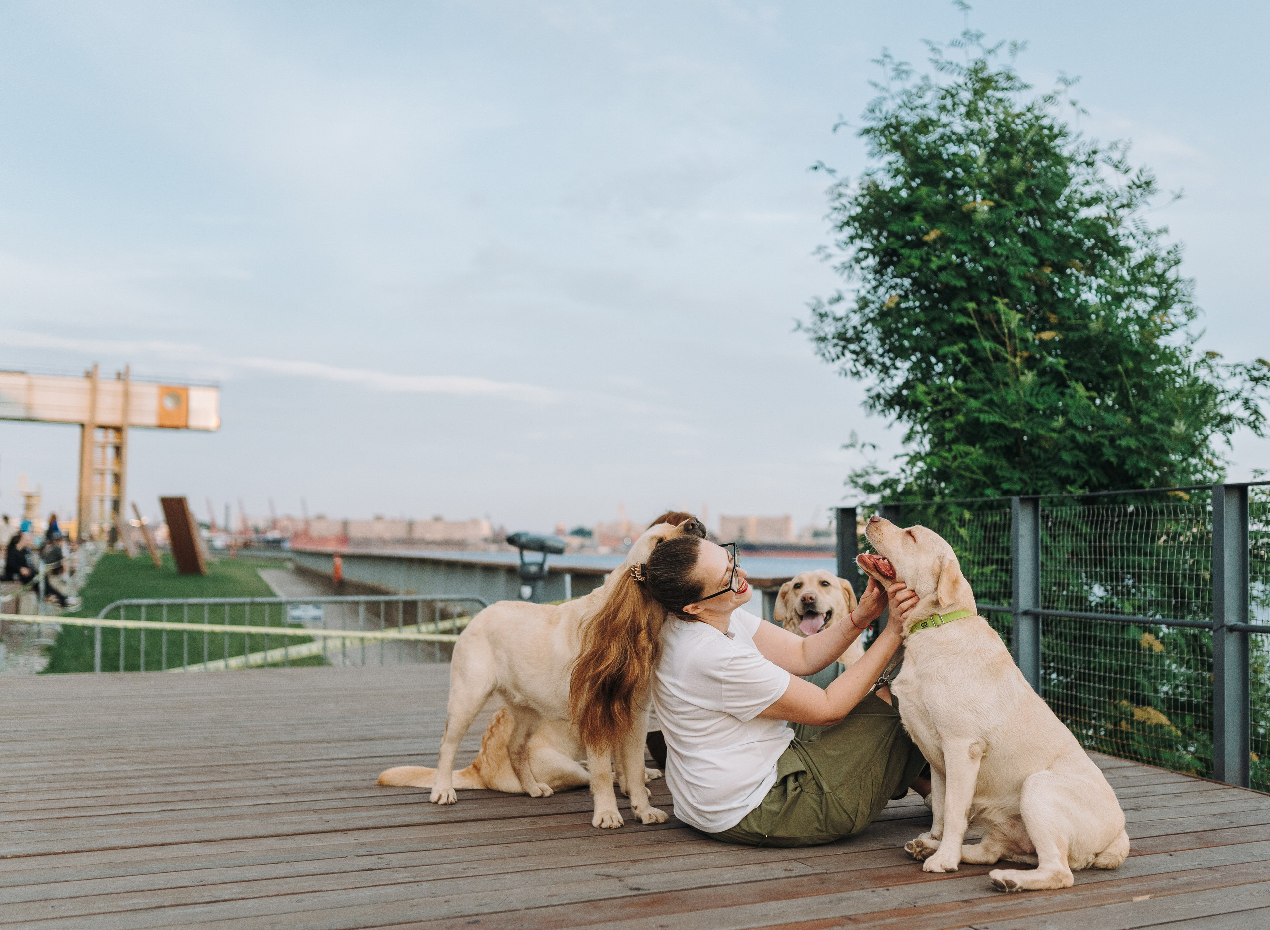 Фотосъёмка с вашими питомцами. Фотограф анималист в Спб недорого Олеся Майорова