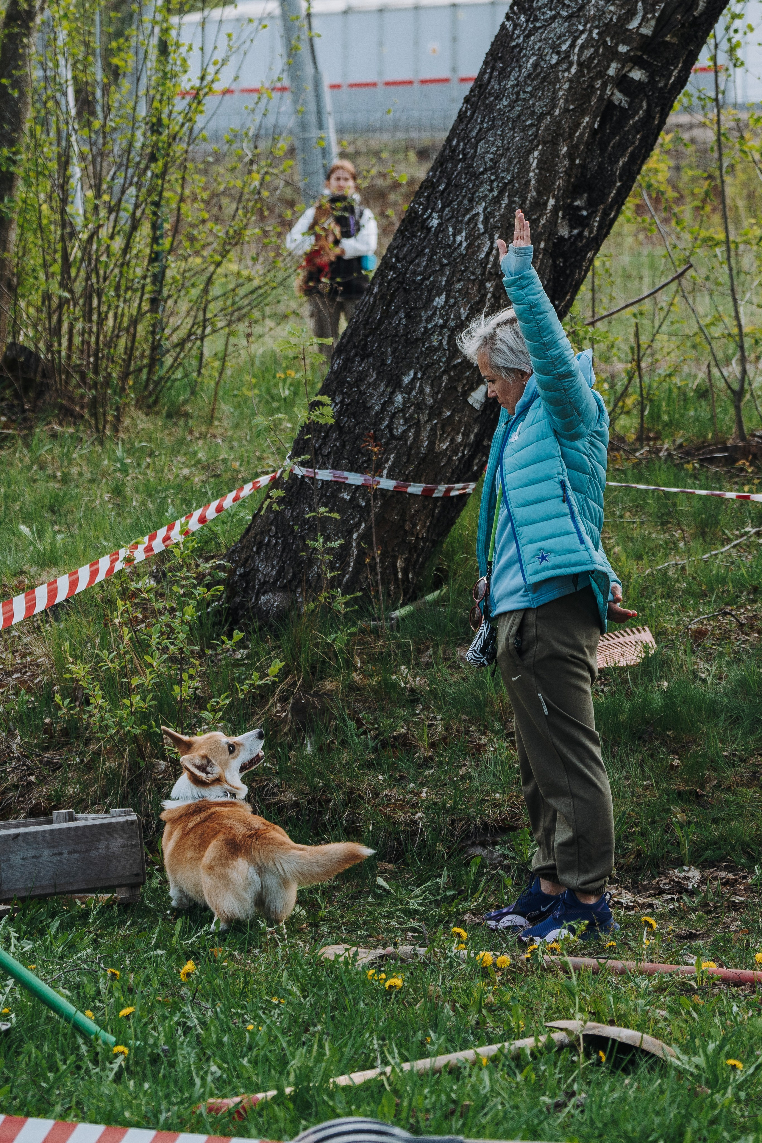 Соревнования по ноузворку в Лосево. Фотограф анималист в Спб недорого Олеся Майорова