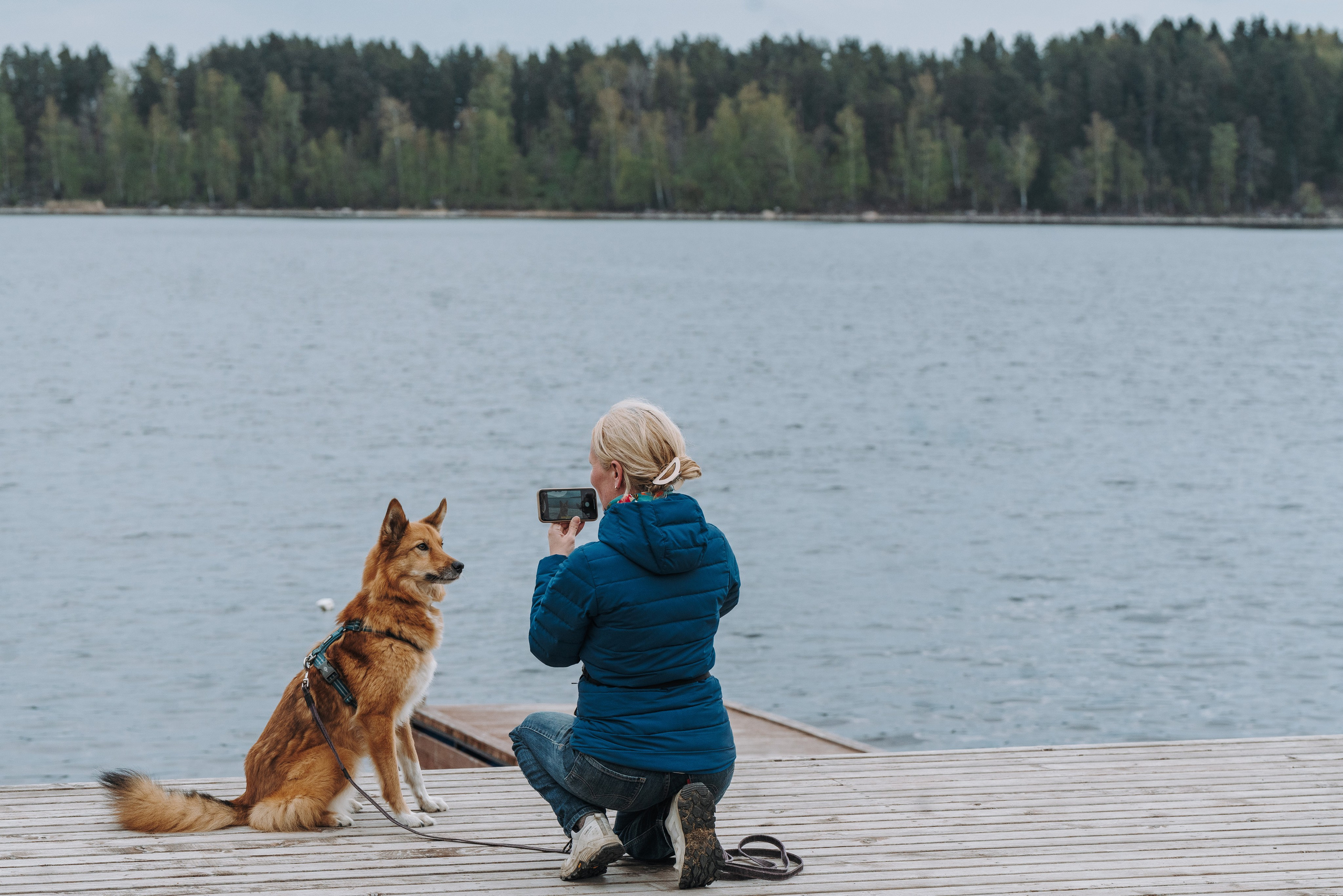 Соревнования по ноузворку в Лосево. Фотограф анималист в Спб недорого Олеся Майорова