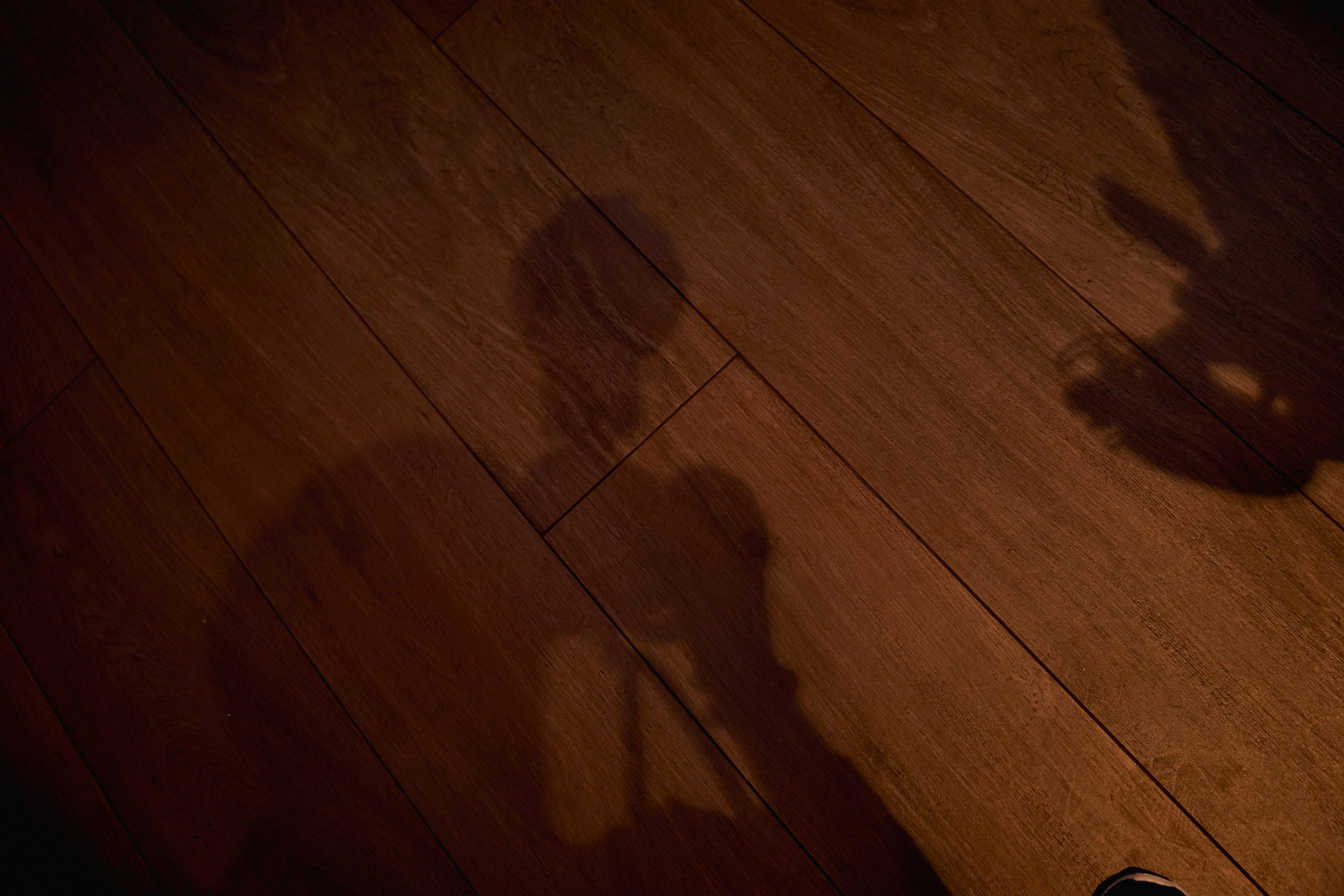 Светская съемка дня рождения 18 лет Камилле от ТВИНС СТУДИО. ТВИНС СТУДИО — лучшие свадебные фотографы и видеографы в Краснодаре